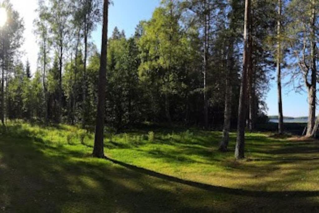 Photo 7