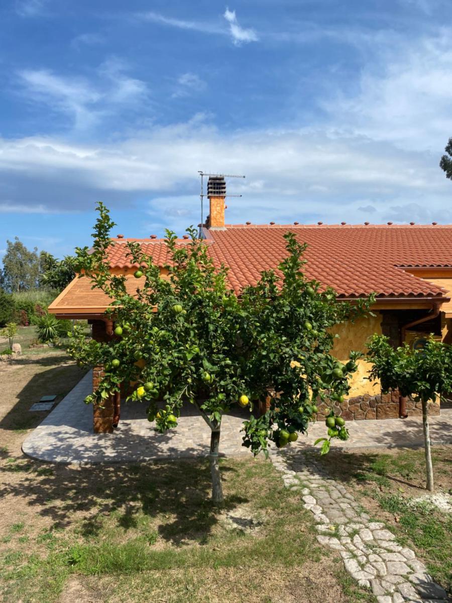 L'Uliveto HOLIDAY HOUSE