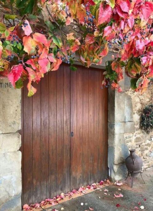 Apartamento*Rural*Masia