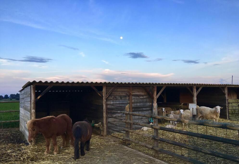Apartamento*Rural*Masia