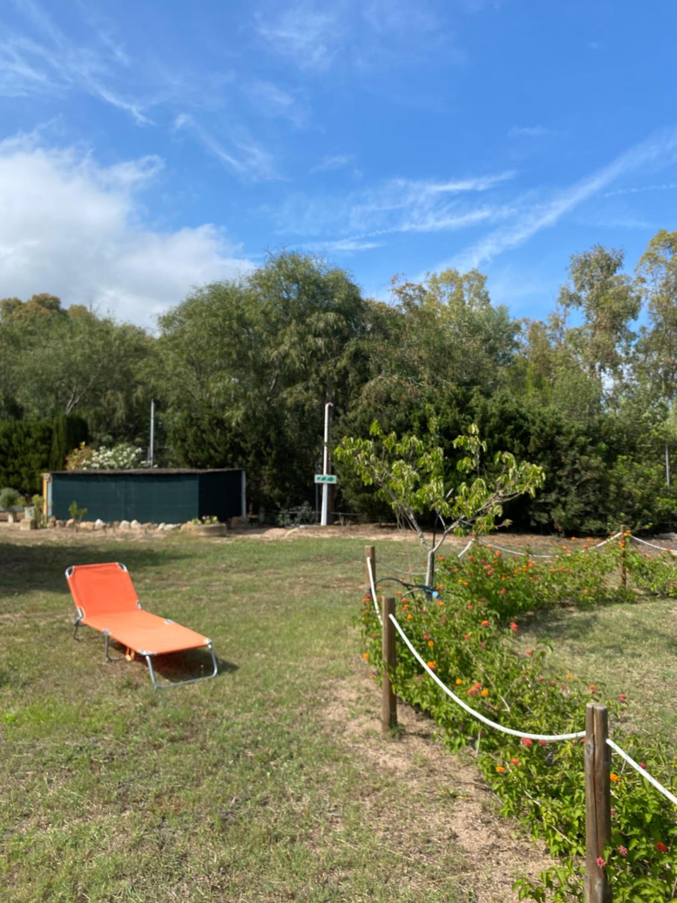 L'Uliveto HOLIDAY HOUSE