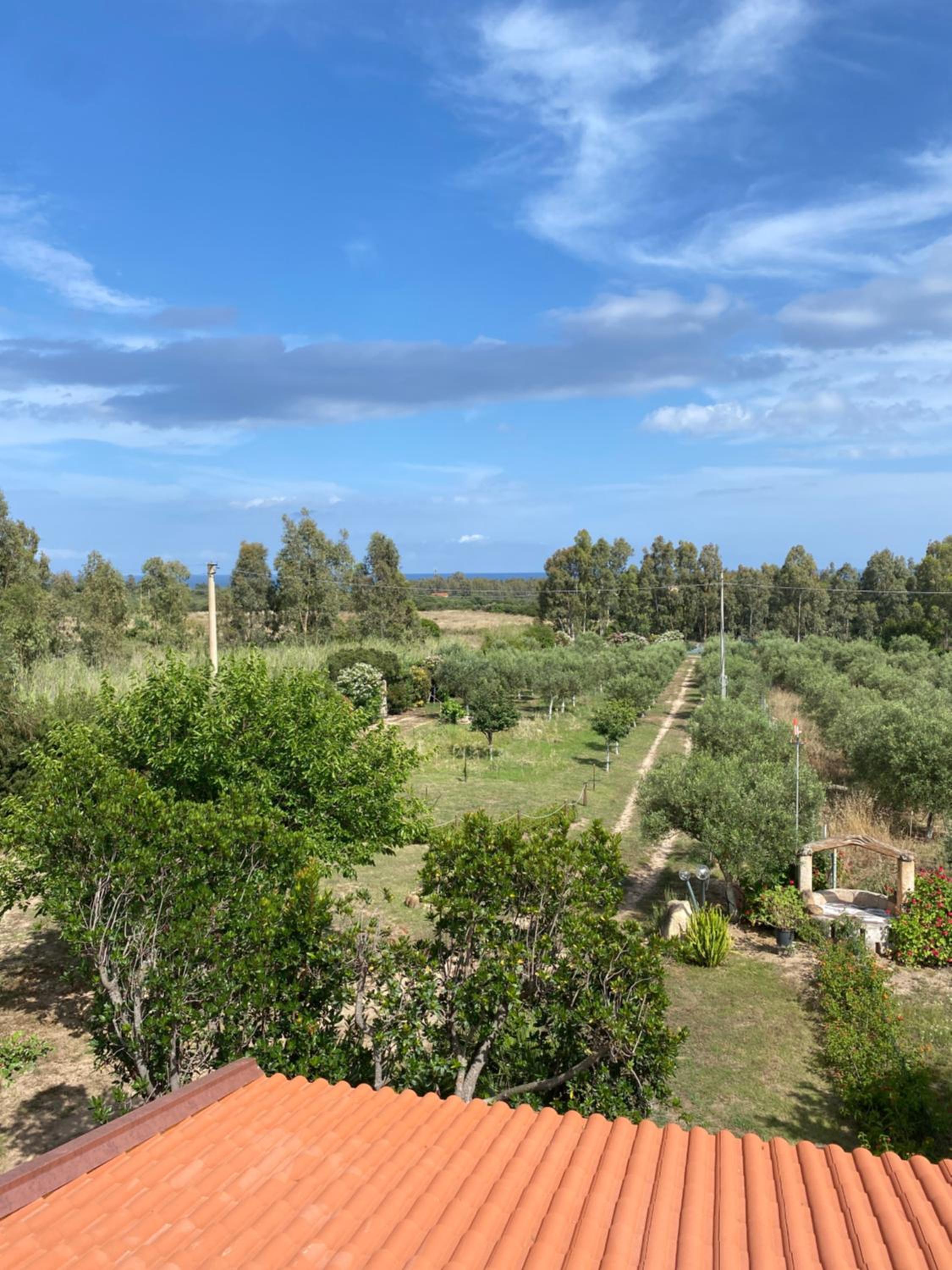 L'Uliveto HOLIDAY HOUSE