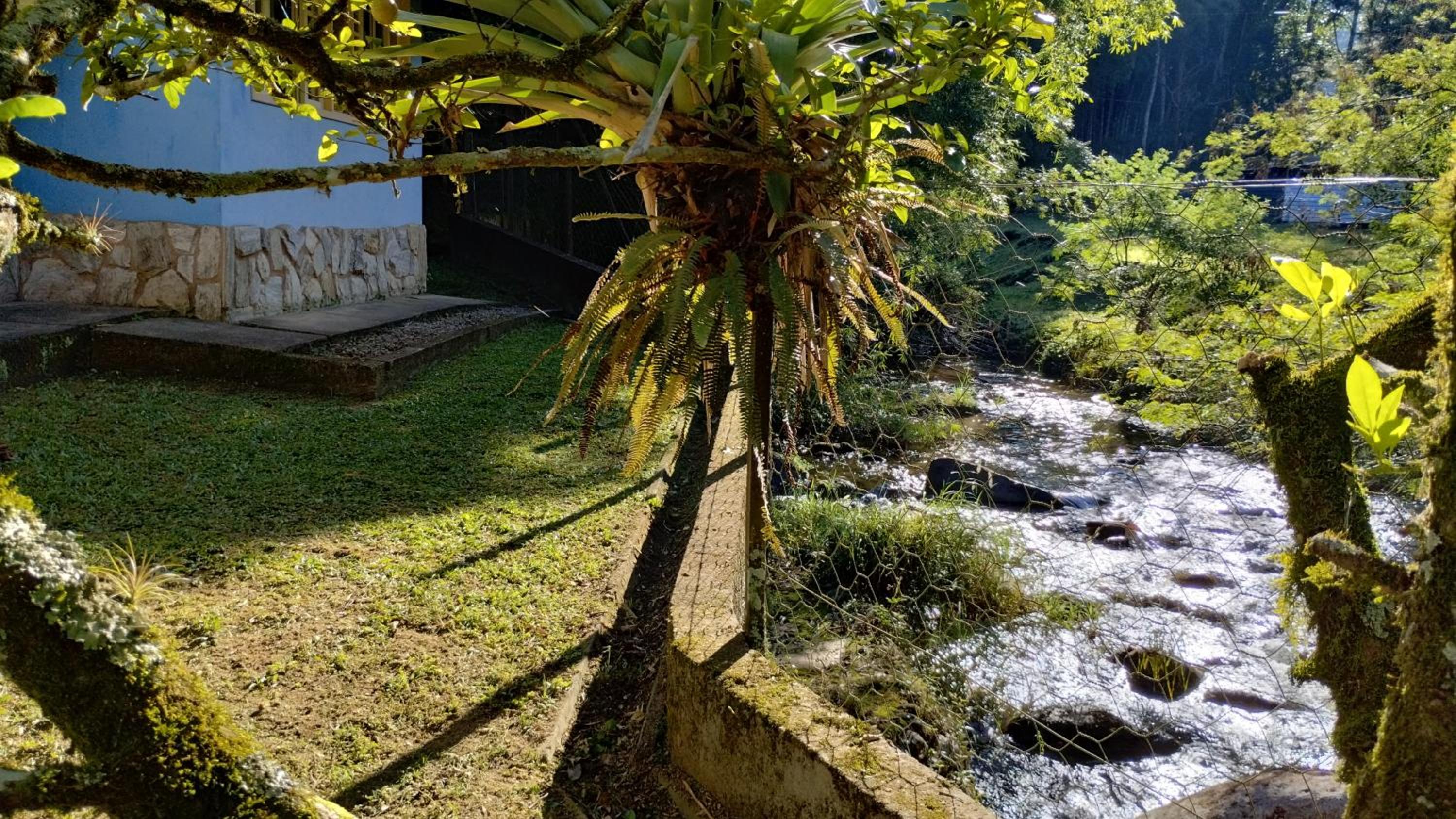 Casa do Artista
