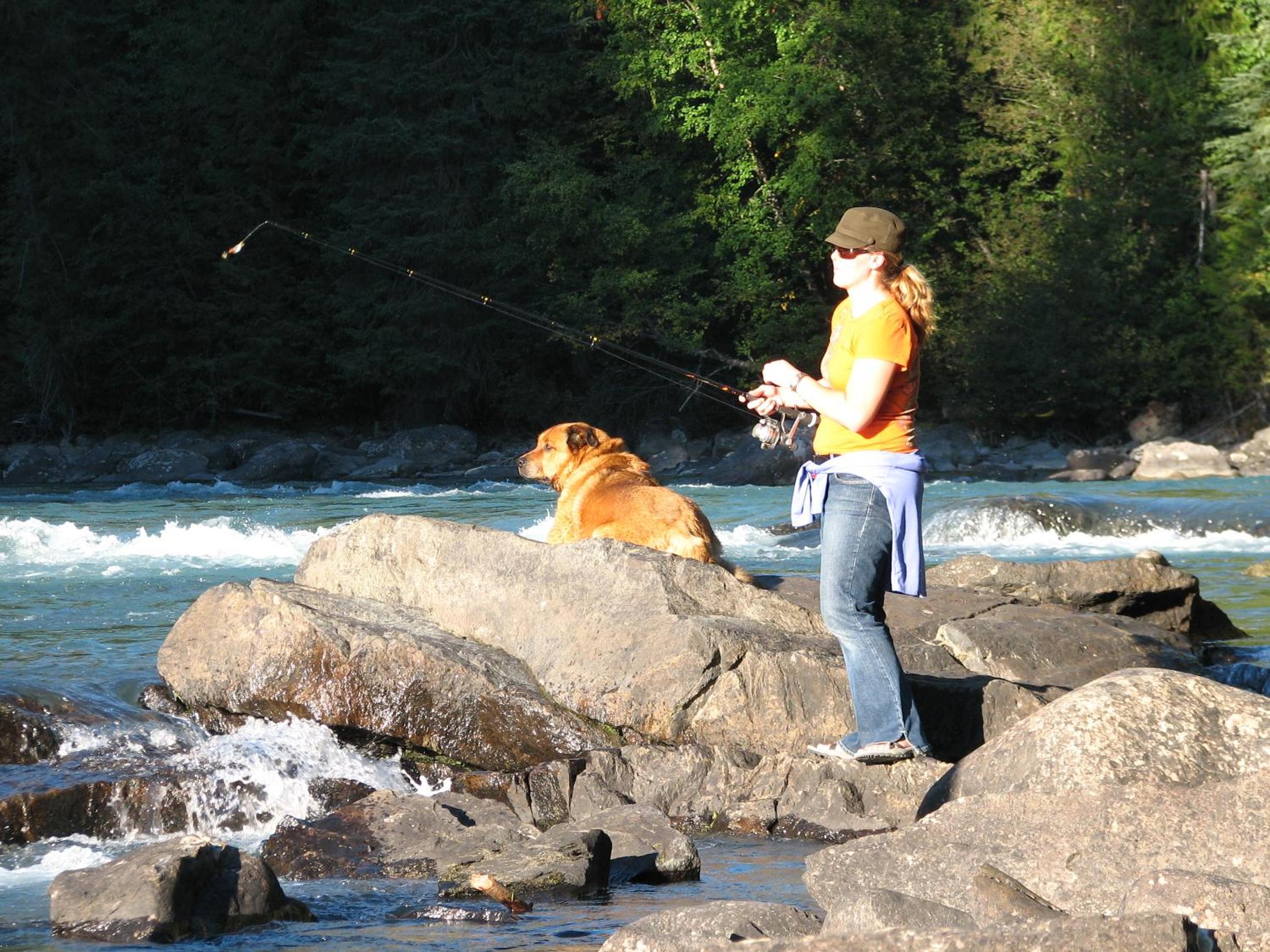 Mount Robson Lodge