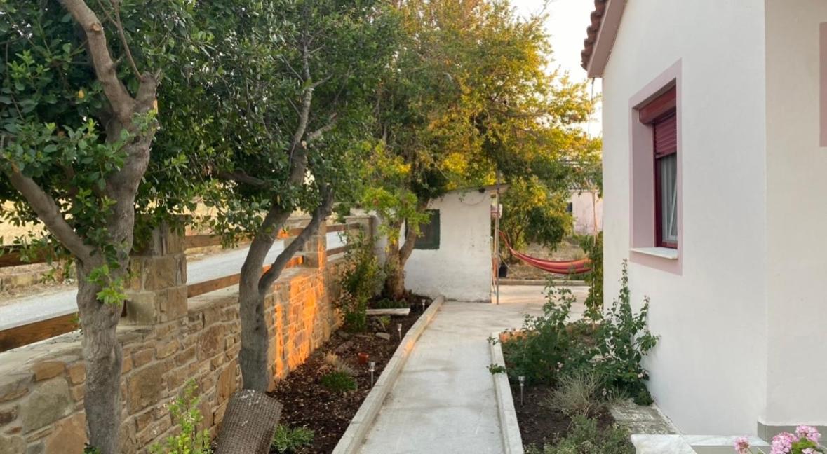 Theros Garden House view 5