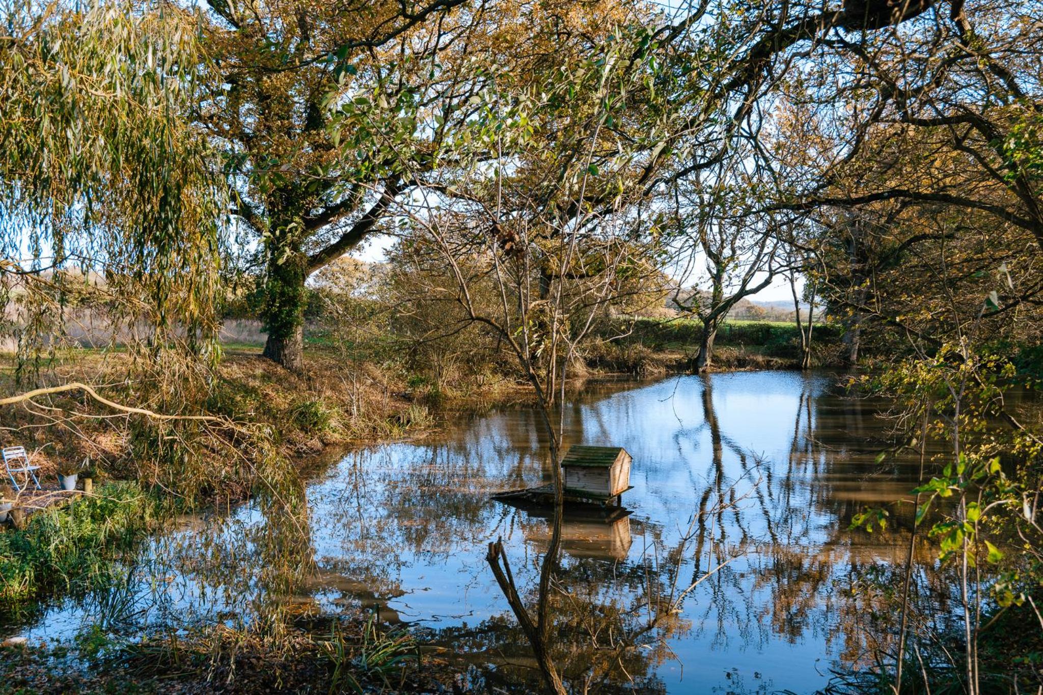 Charming picturesque cottage - nr Tenterden & Rye, pets welcomed view 3