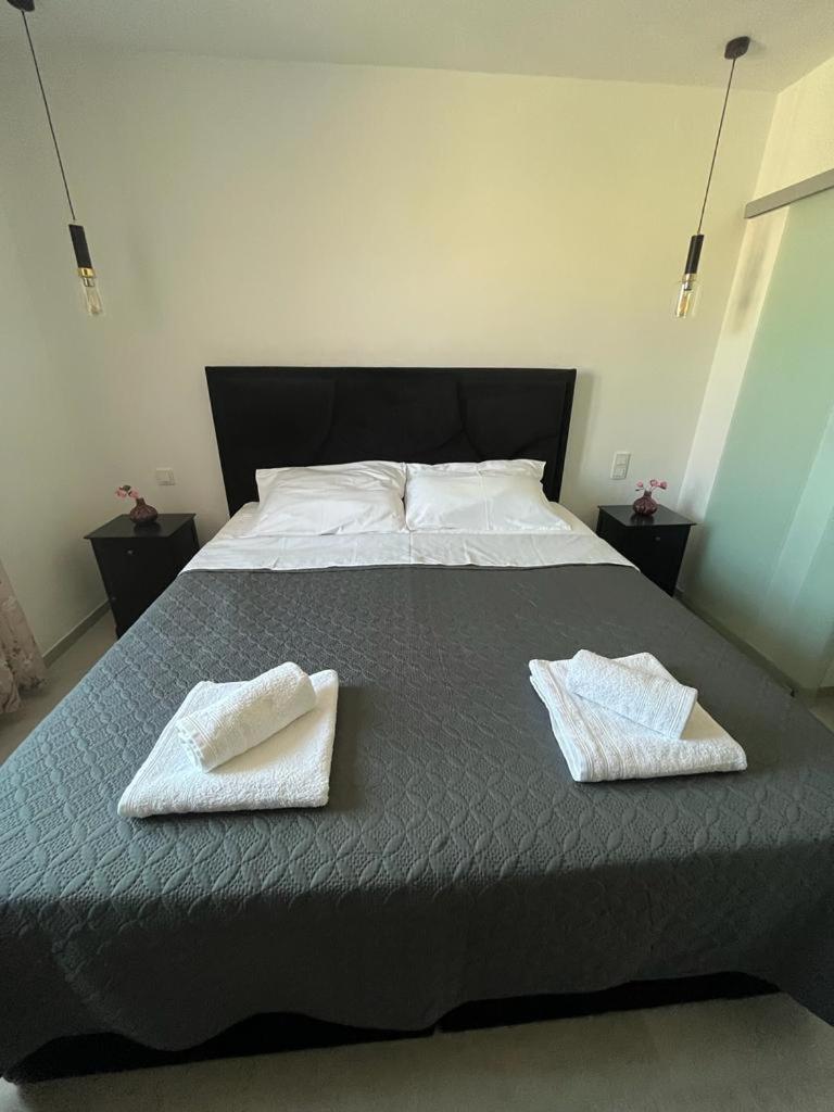 Haus Dalmatia with heated Pool view 3