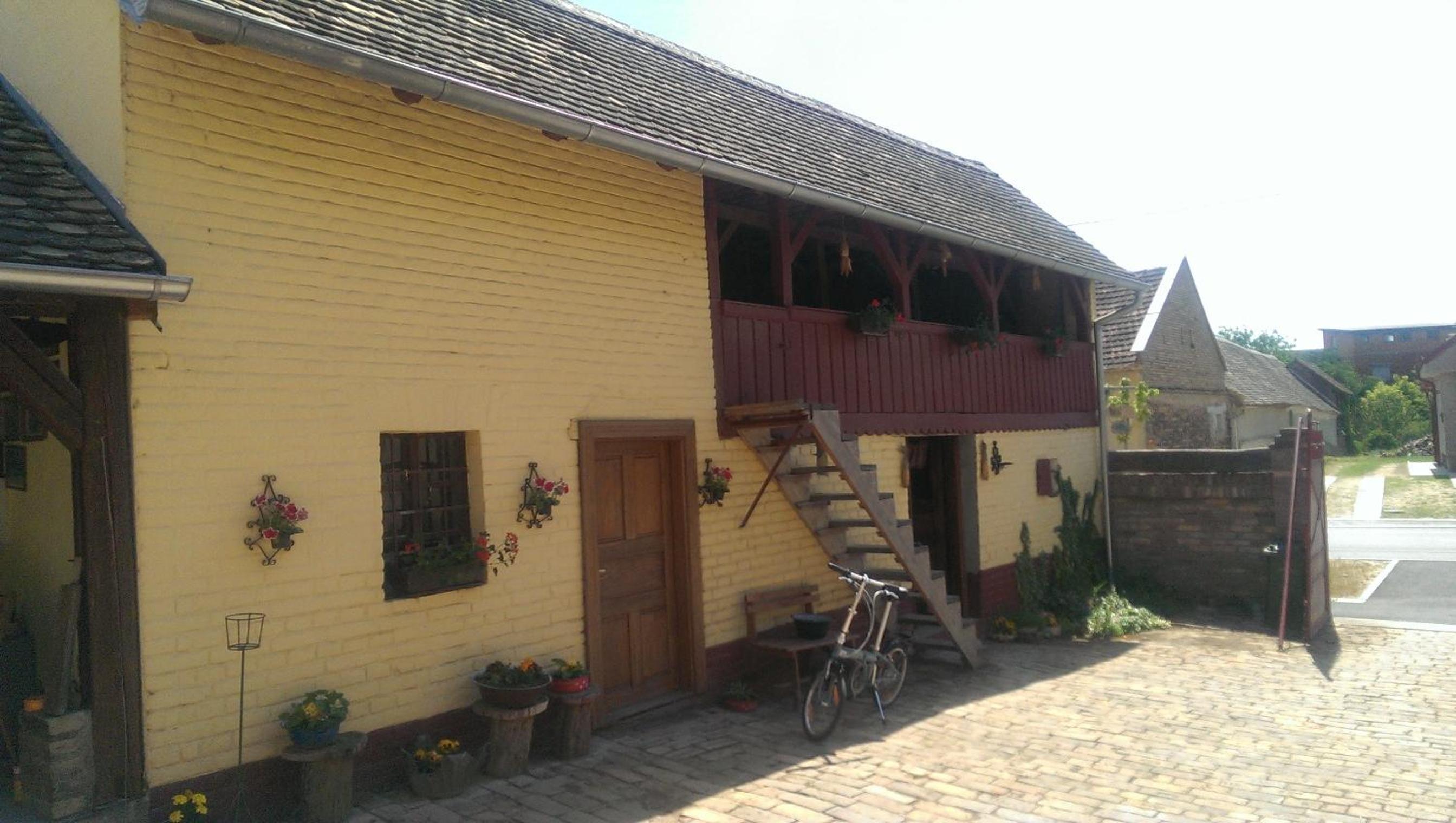 Photo 15