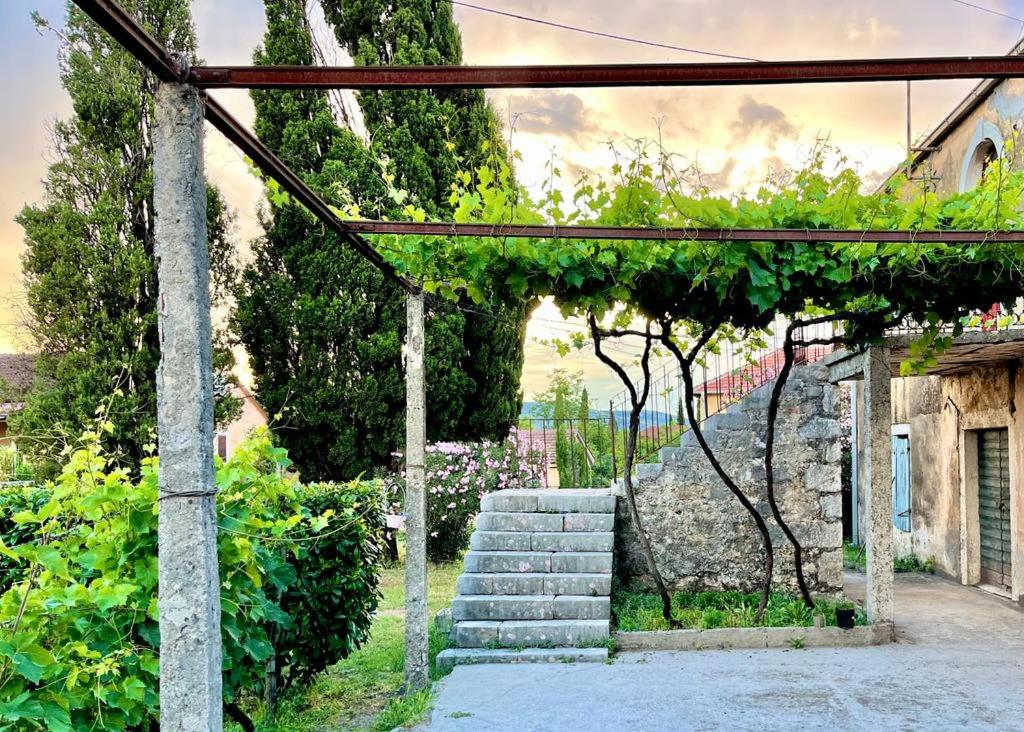 Apartman Boljević