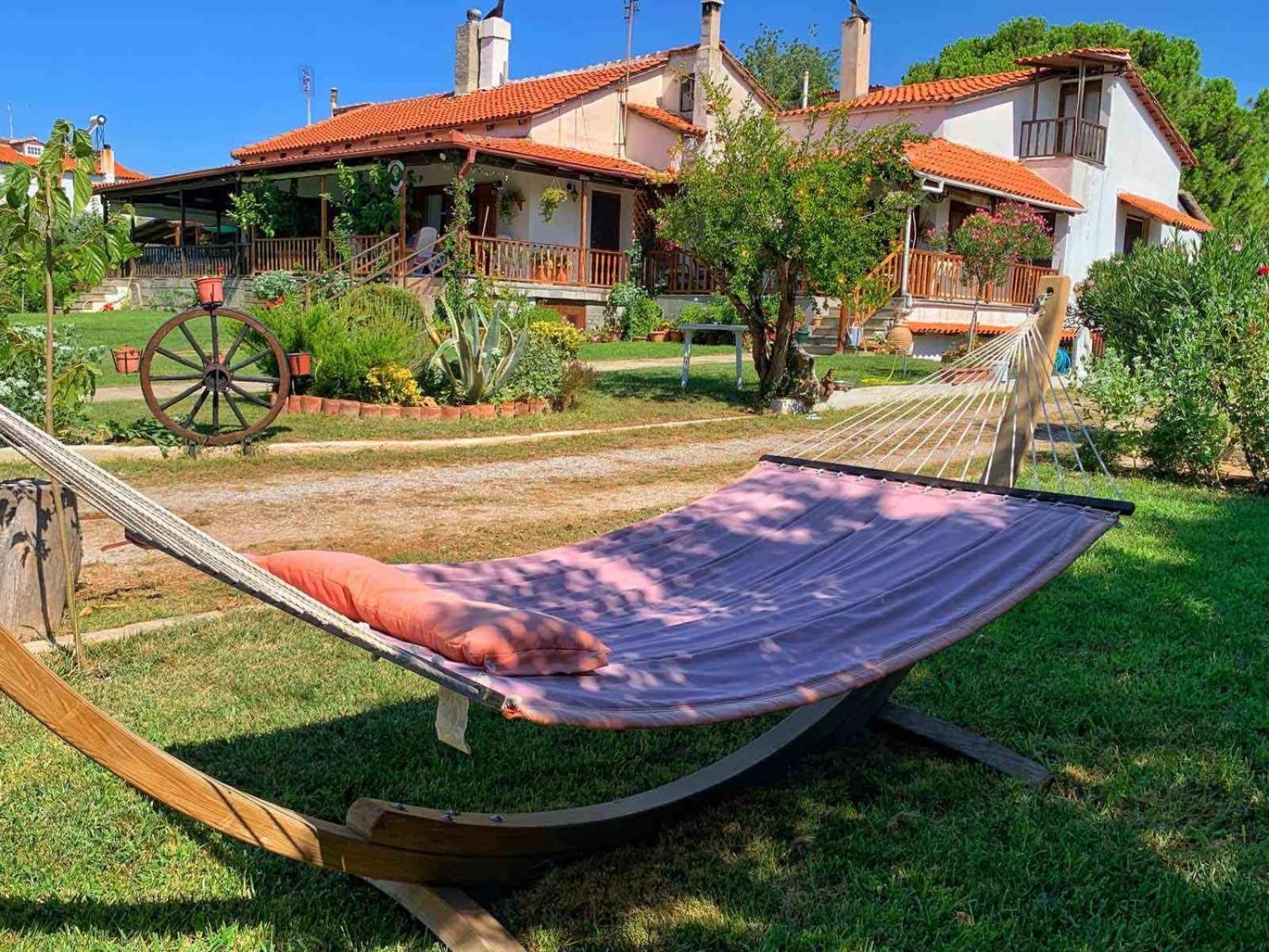 Ivonnis Garden