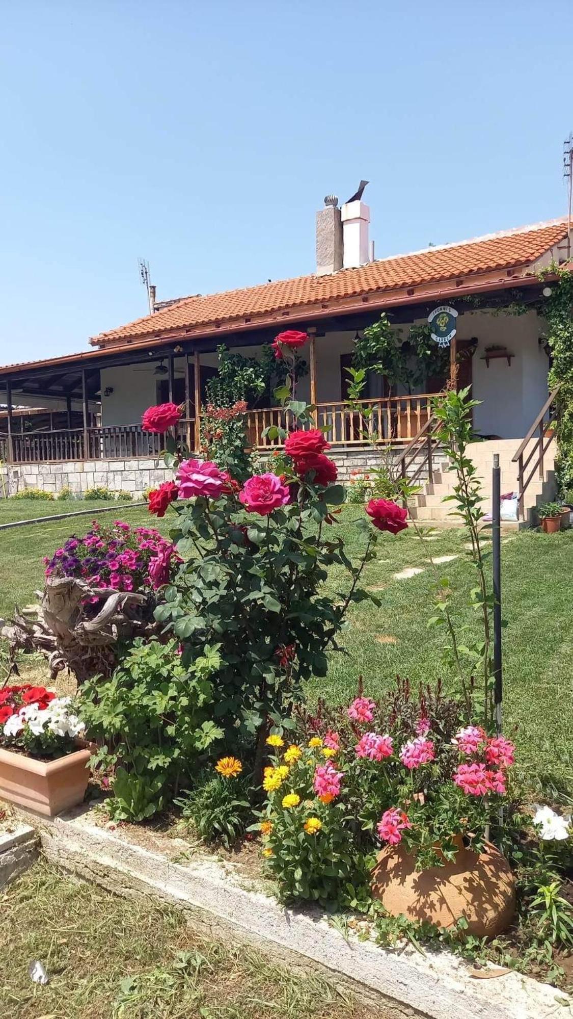 Ivonnis Garden