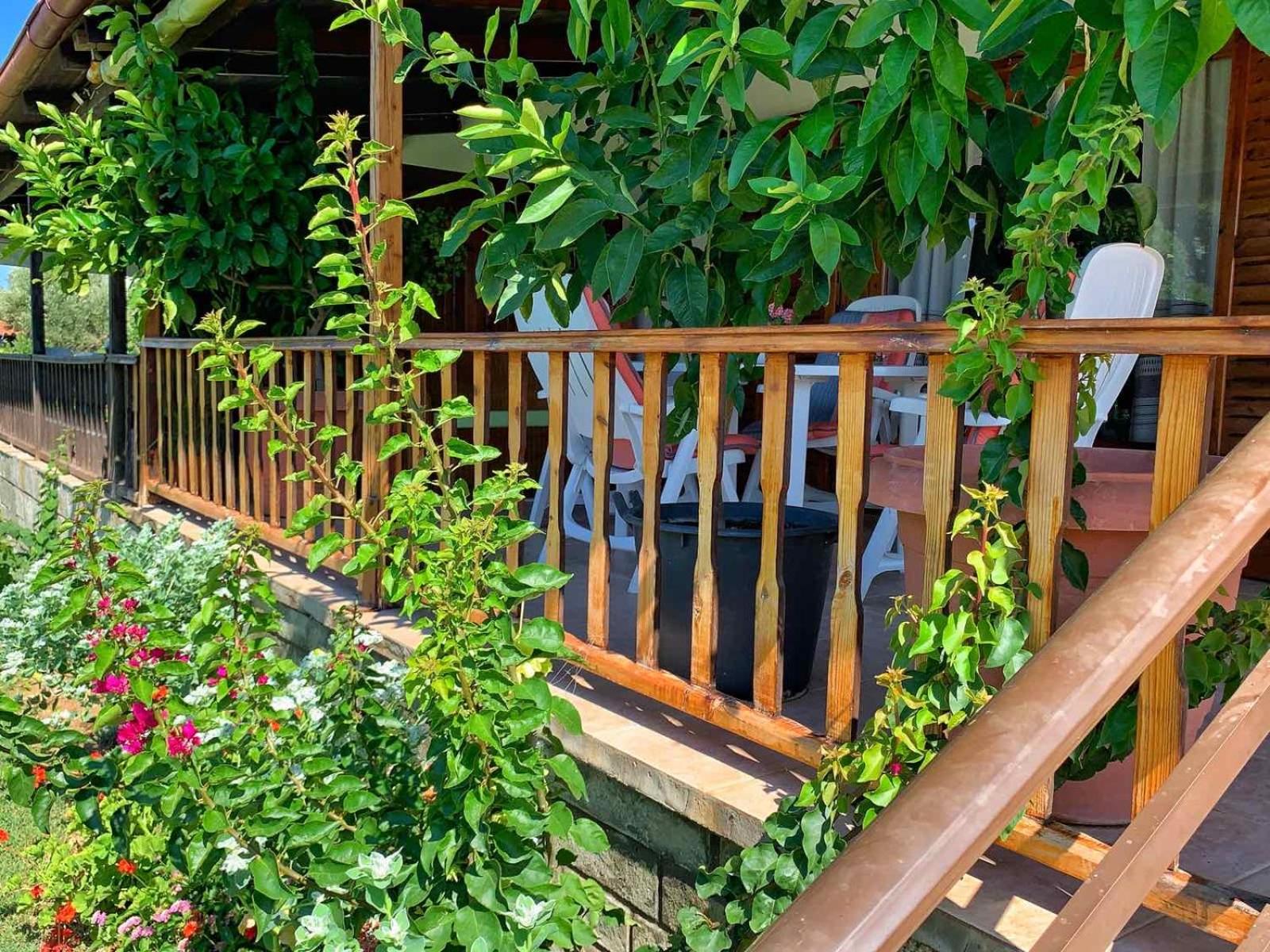 Ivonnis Garden