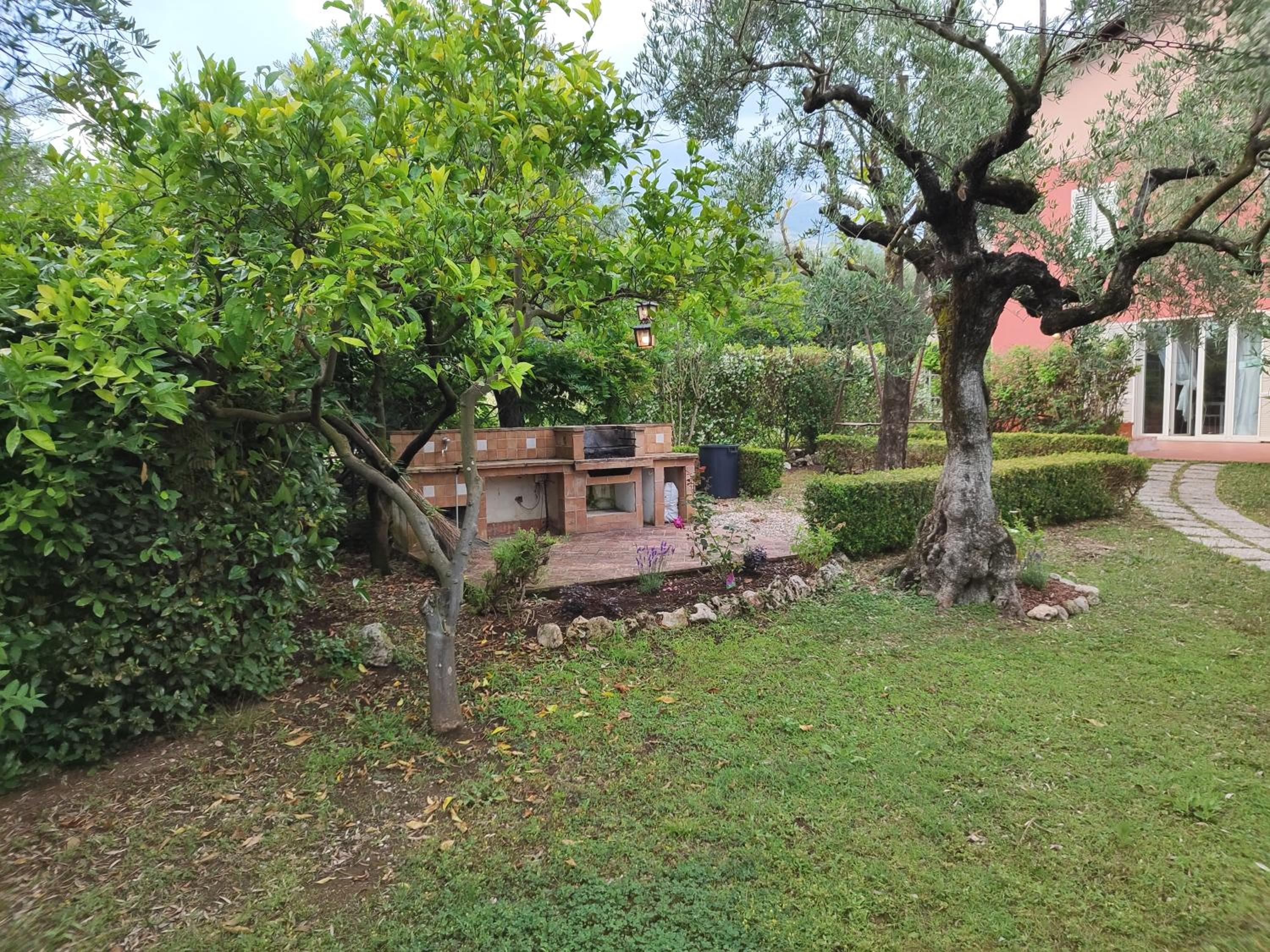 Photo 49
