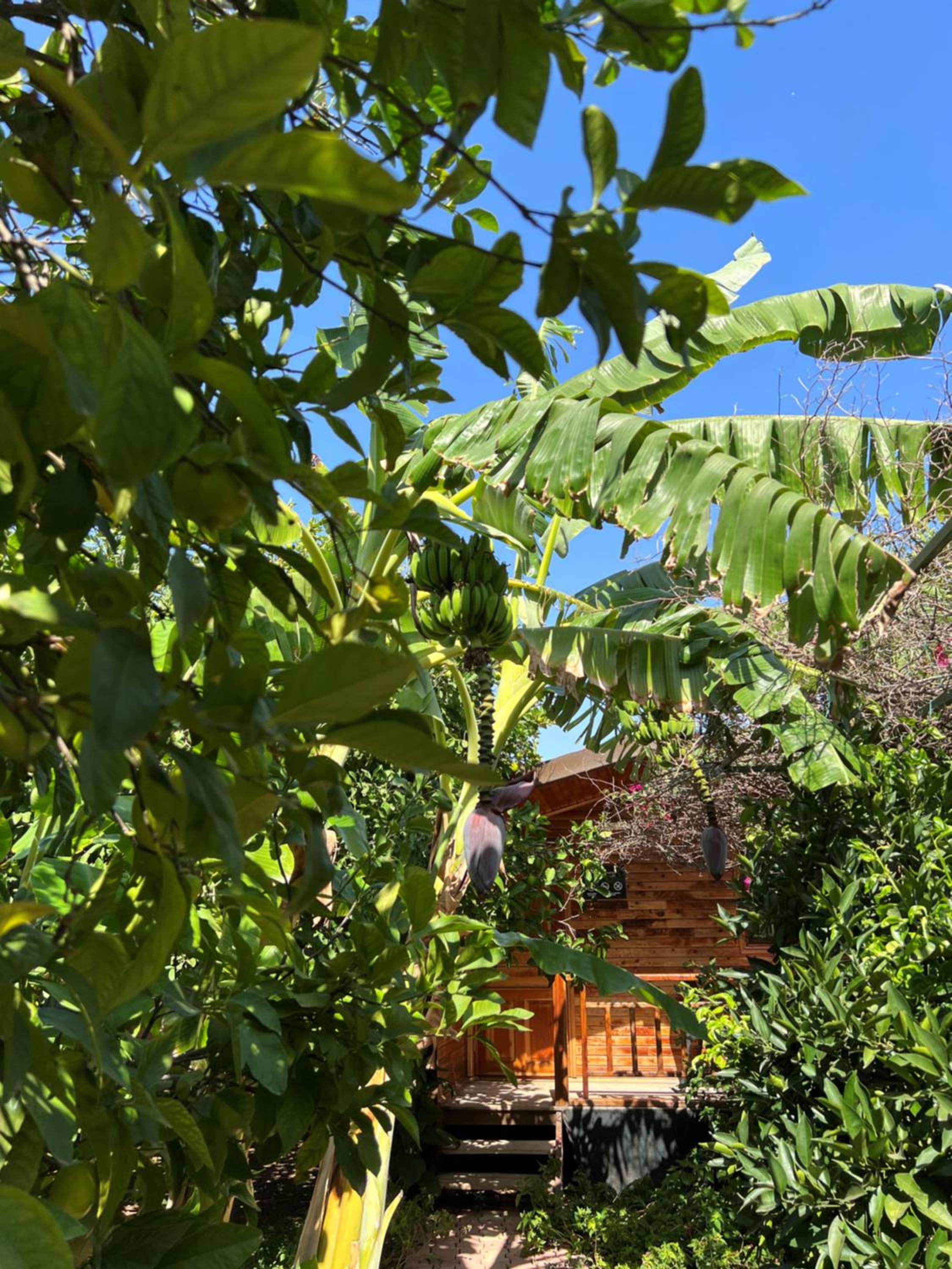 Lemon Garden Lodge