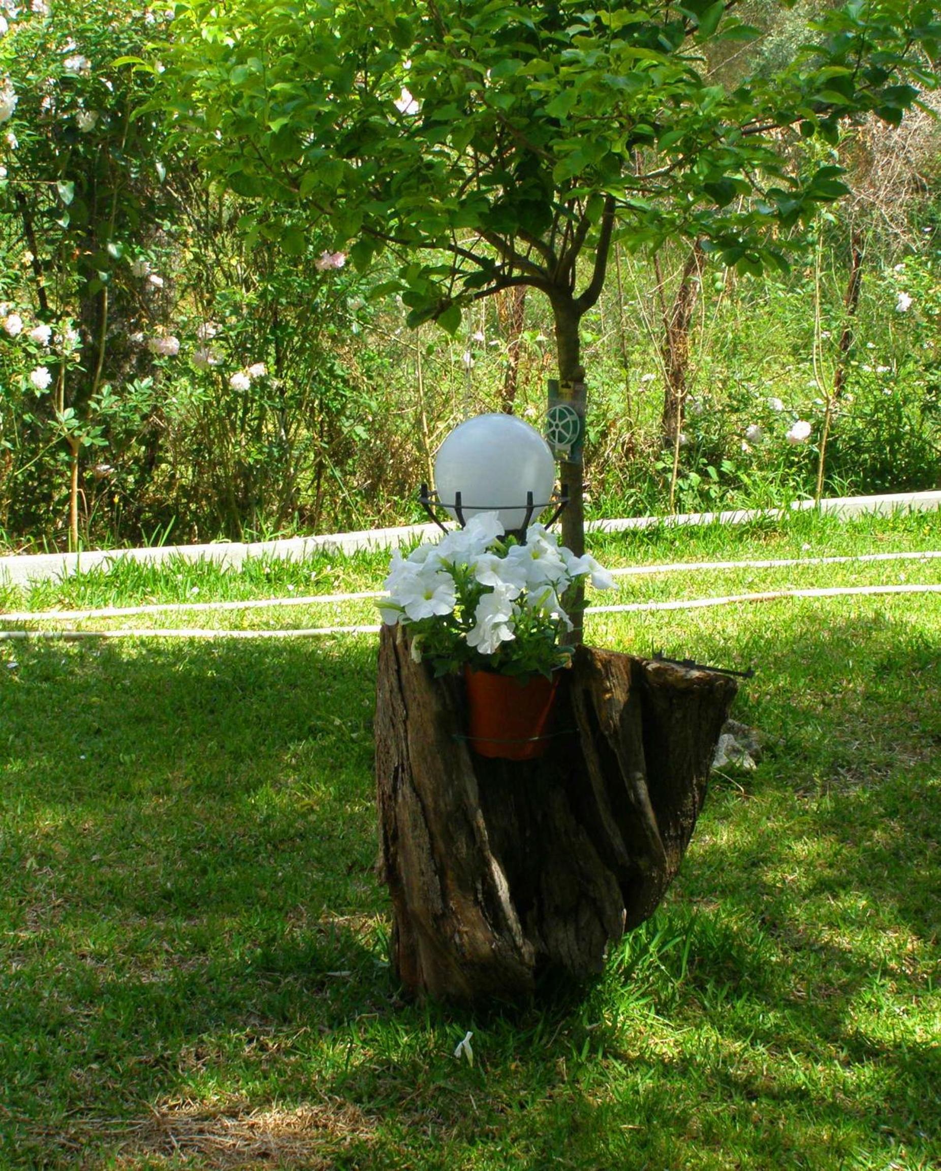 Photo 25