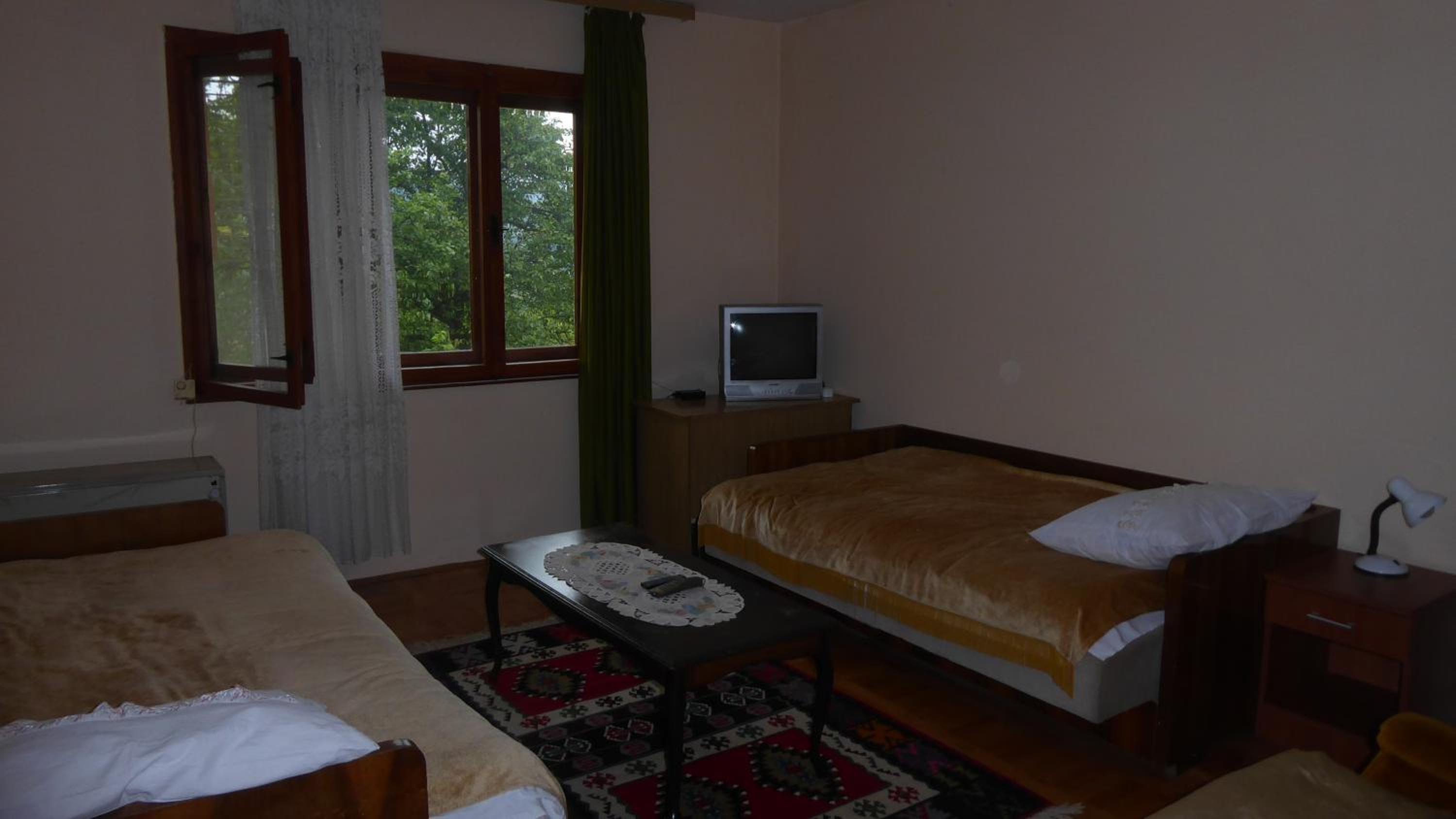Guest house Pribojska Banja view 2