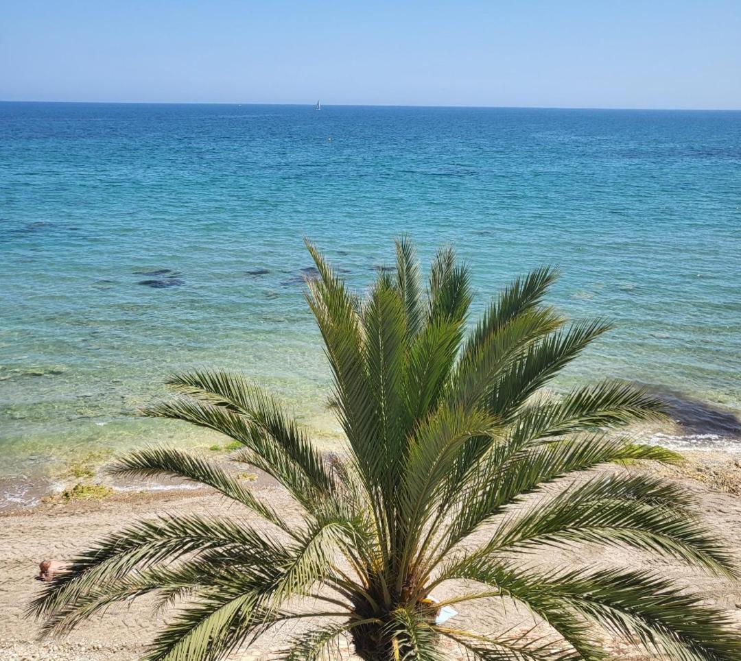 Apartamento Sultan, Punta Prima, Panorama Park, 2 bed & 2 beautiful swimming pools view 4