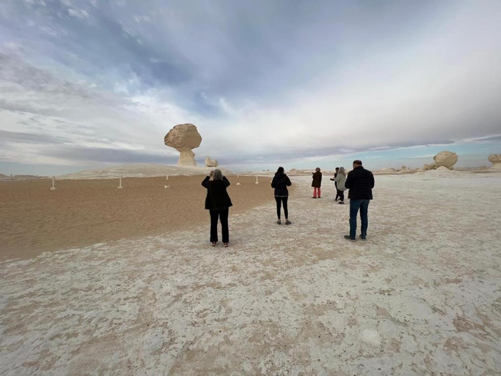 Egypt white and black desert with Camping