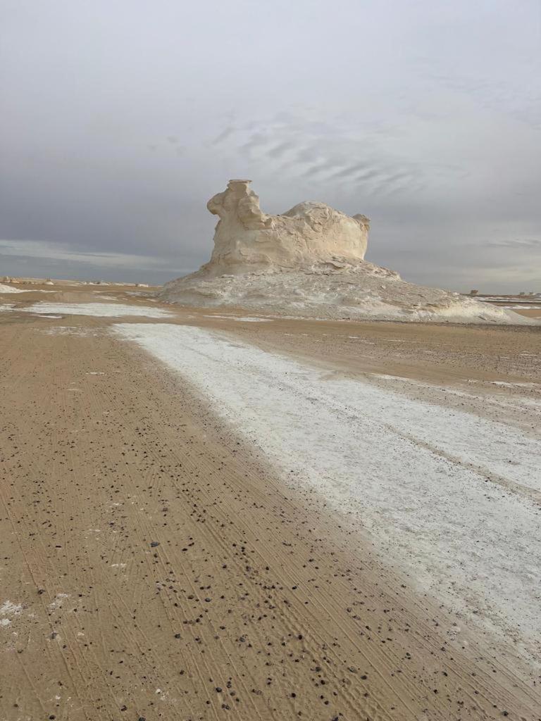 Egypt white and black desert with Camping