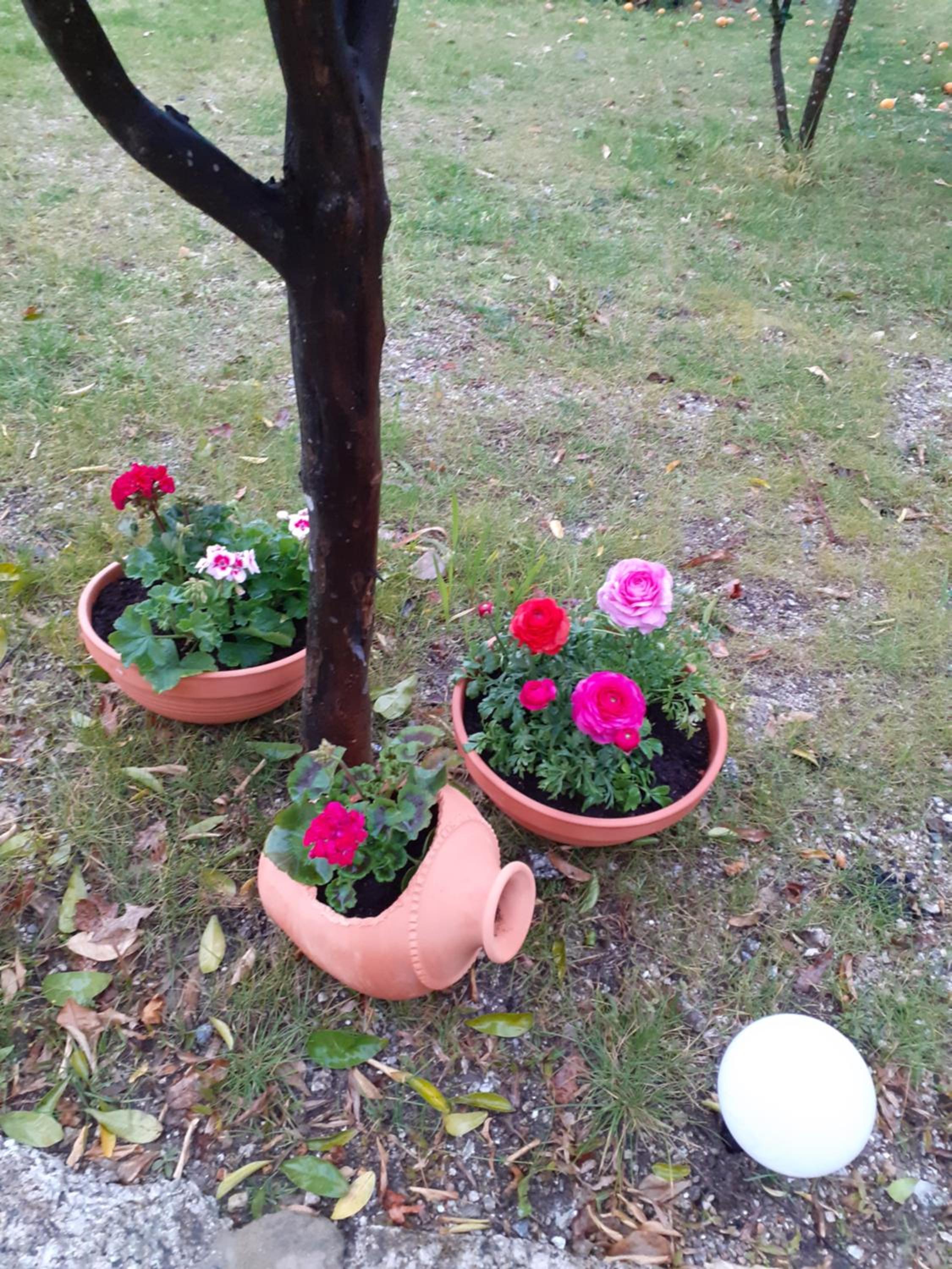 Photo 127