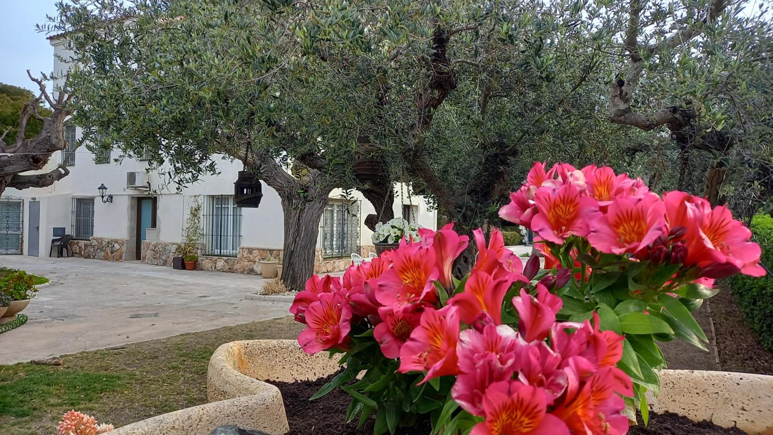 Apartments in Villa Isabel view 4