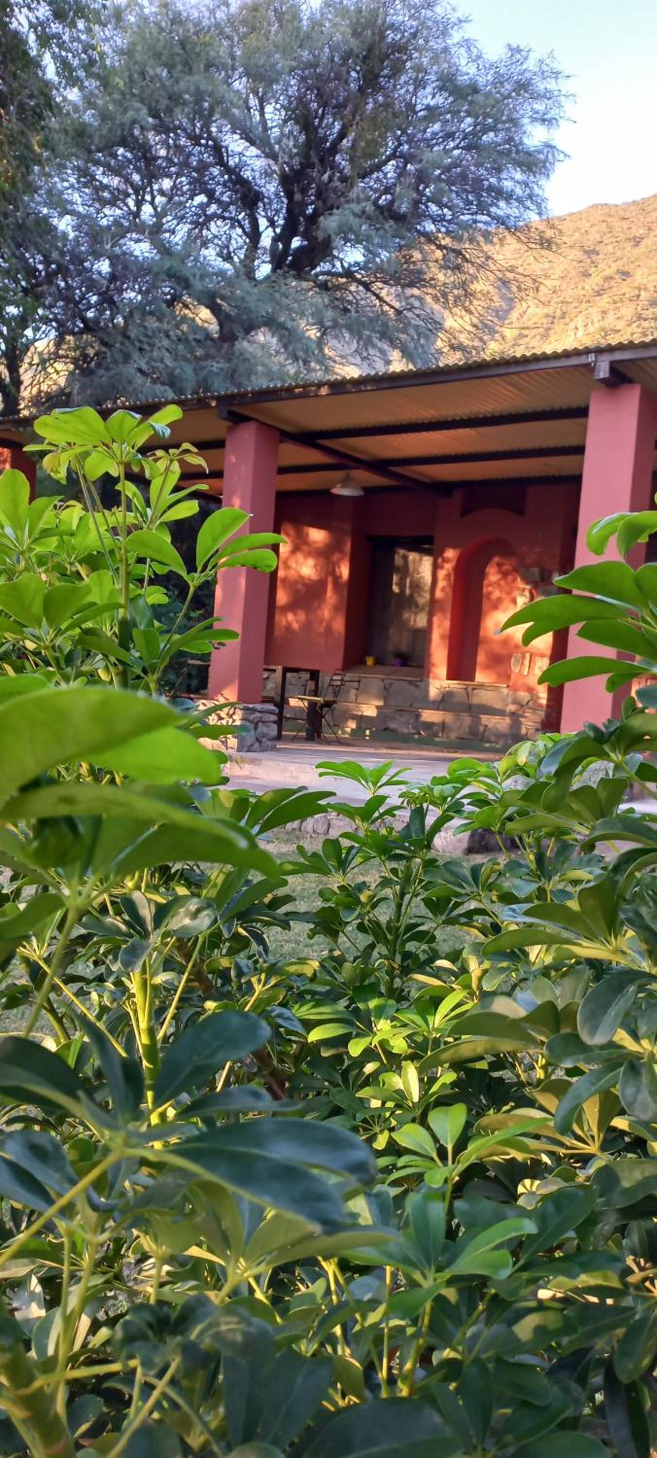 TADASANA CASA DE CAMPO