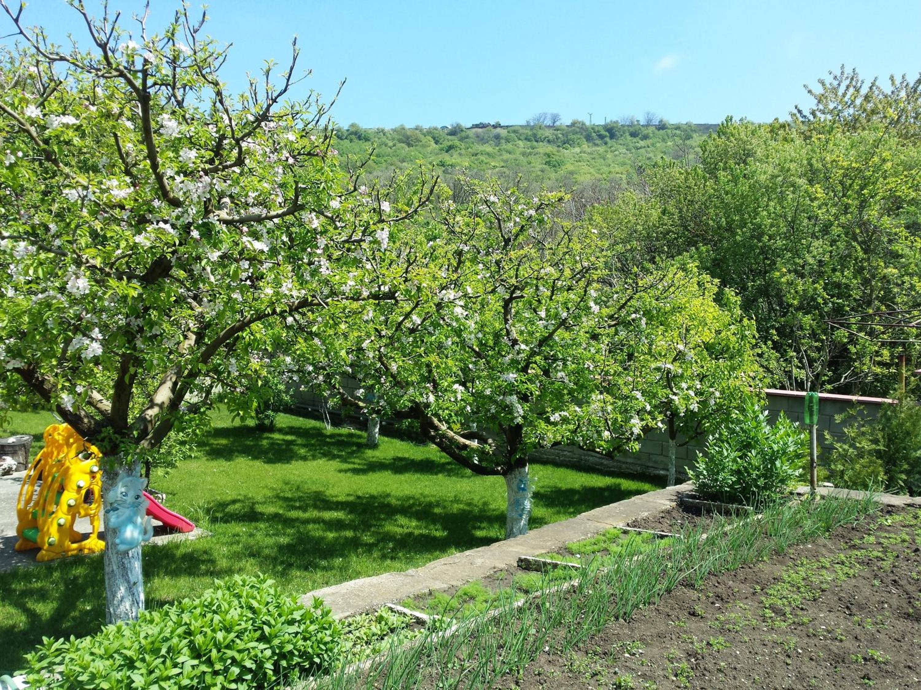 Villa Detelina Balchik
