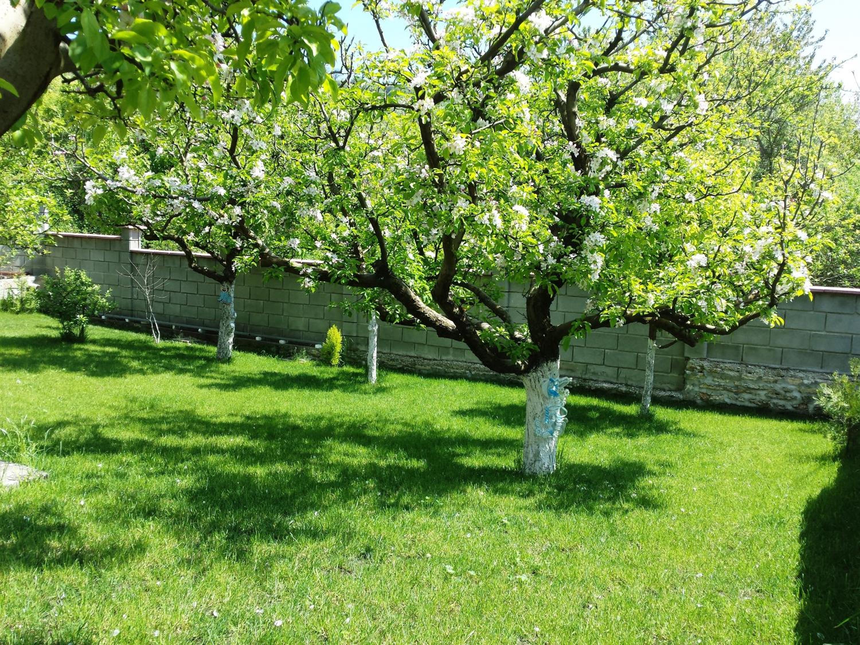 Villa Detelina Balchik