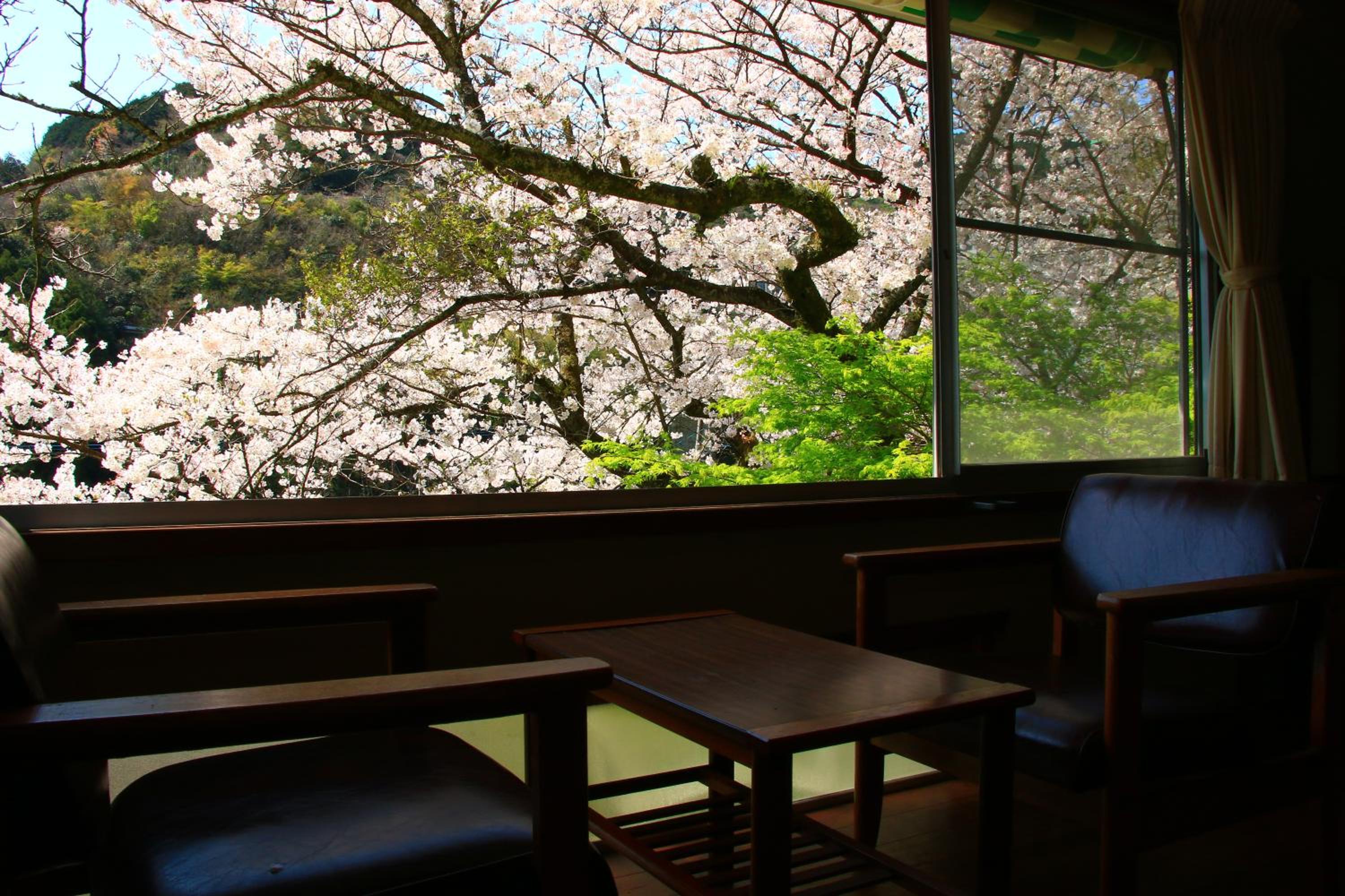 Dainichiya-ryokan