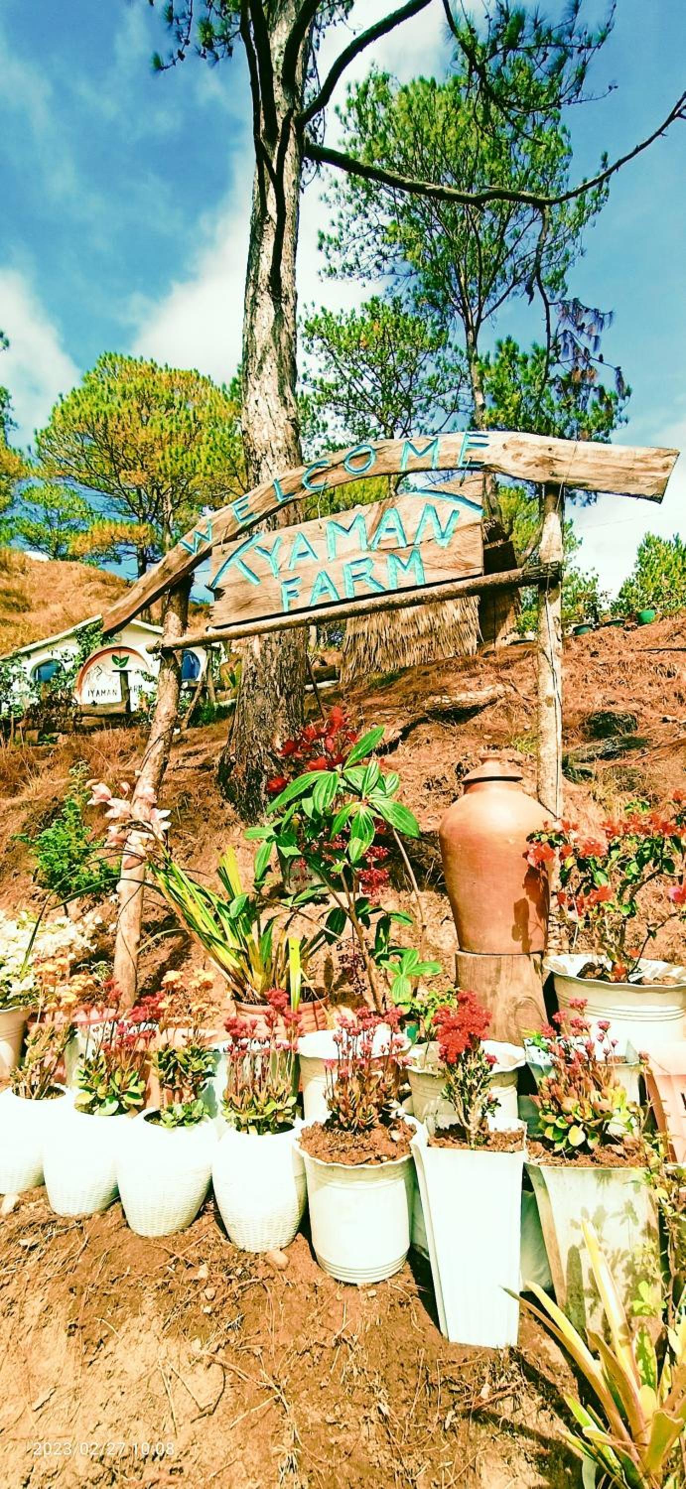 IYAMAN FARM near SAGADA view 2