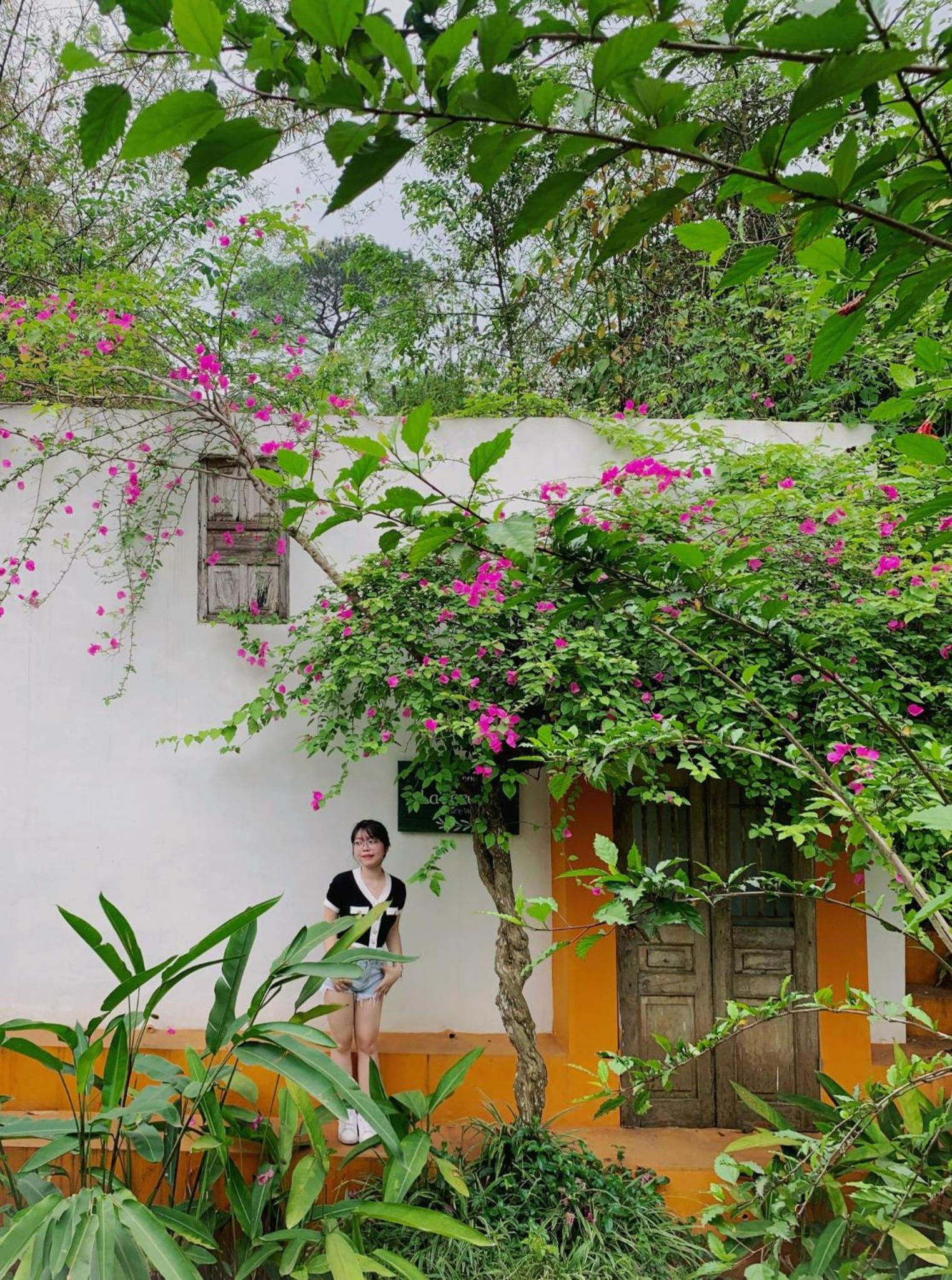 ROSE Villas & Resort - Ba Vi