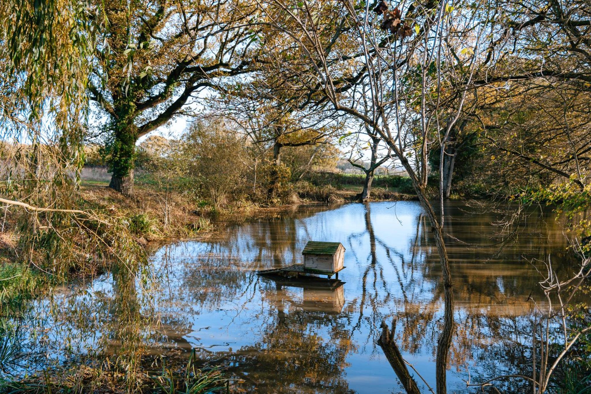Charming picturesque cottage - nr Tenterden & Rye, pets welcomed view 5