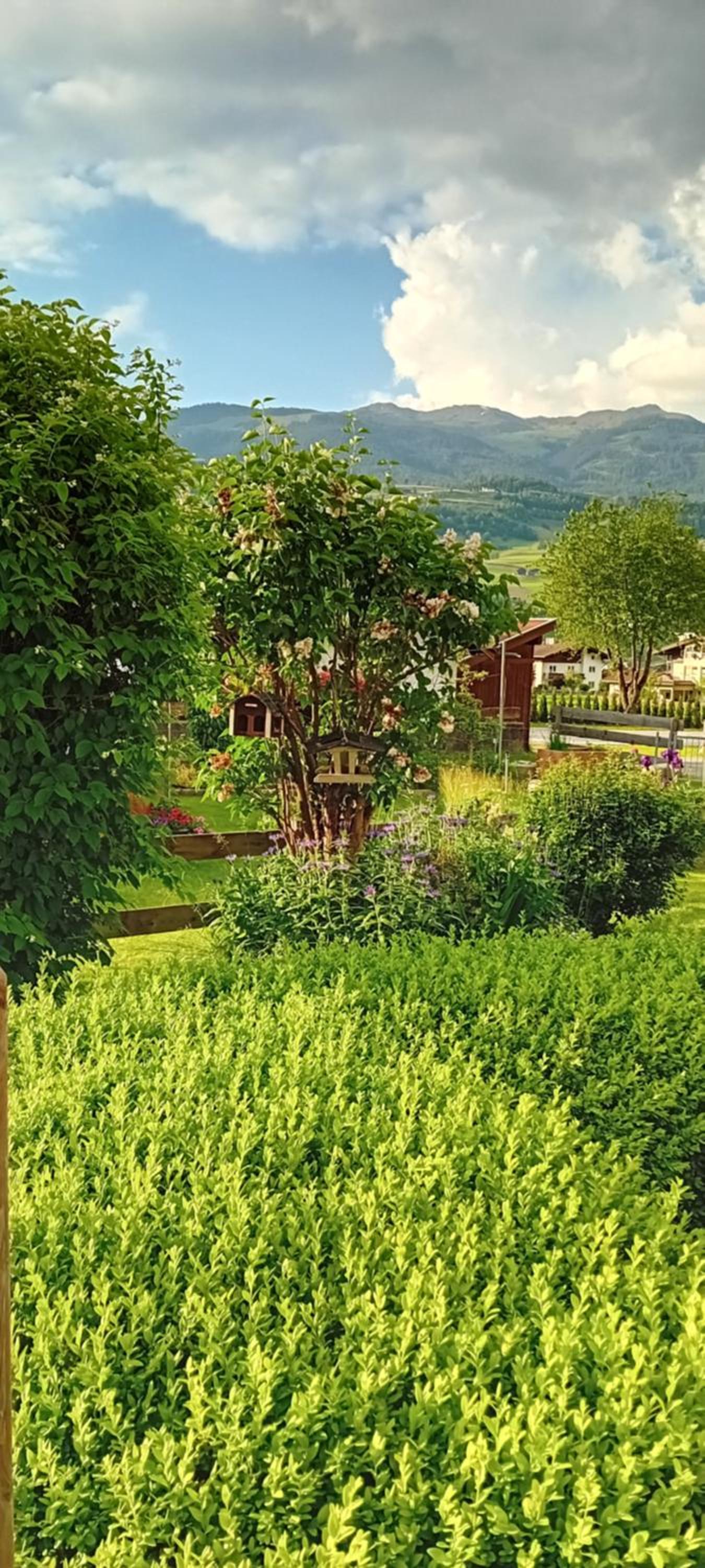 Apartment Auszeit Nationalpark SommerCard inklusive Mai-Okt