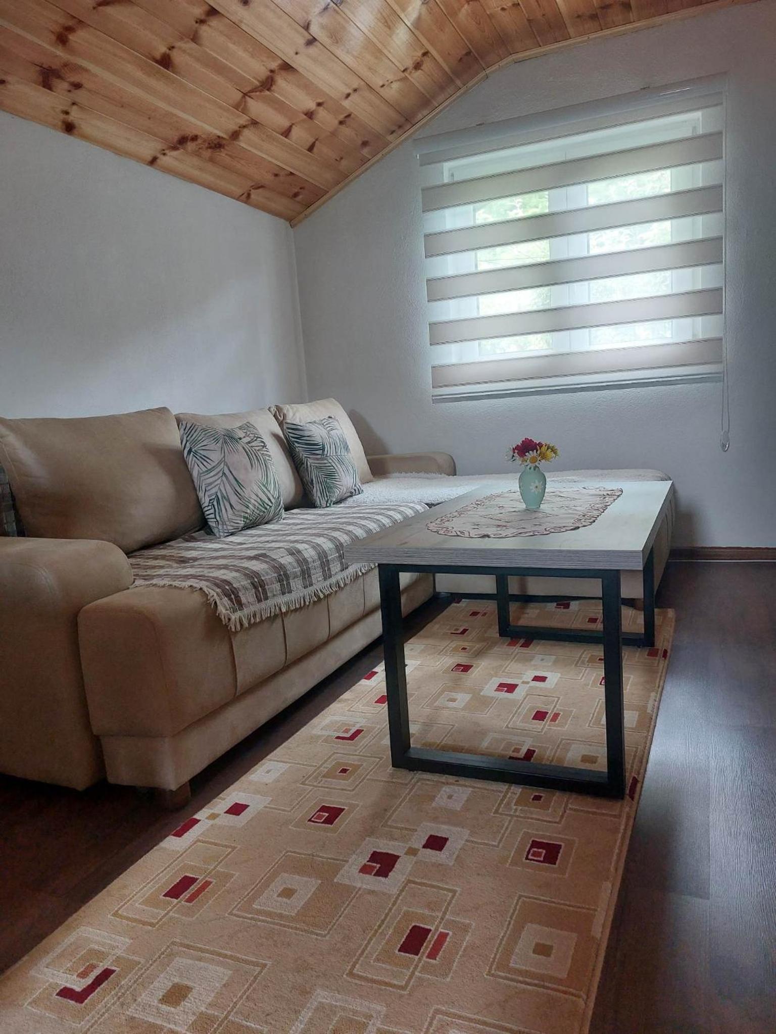 Apartman Branko view 5
