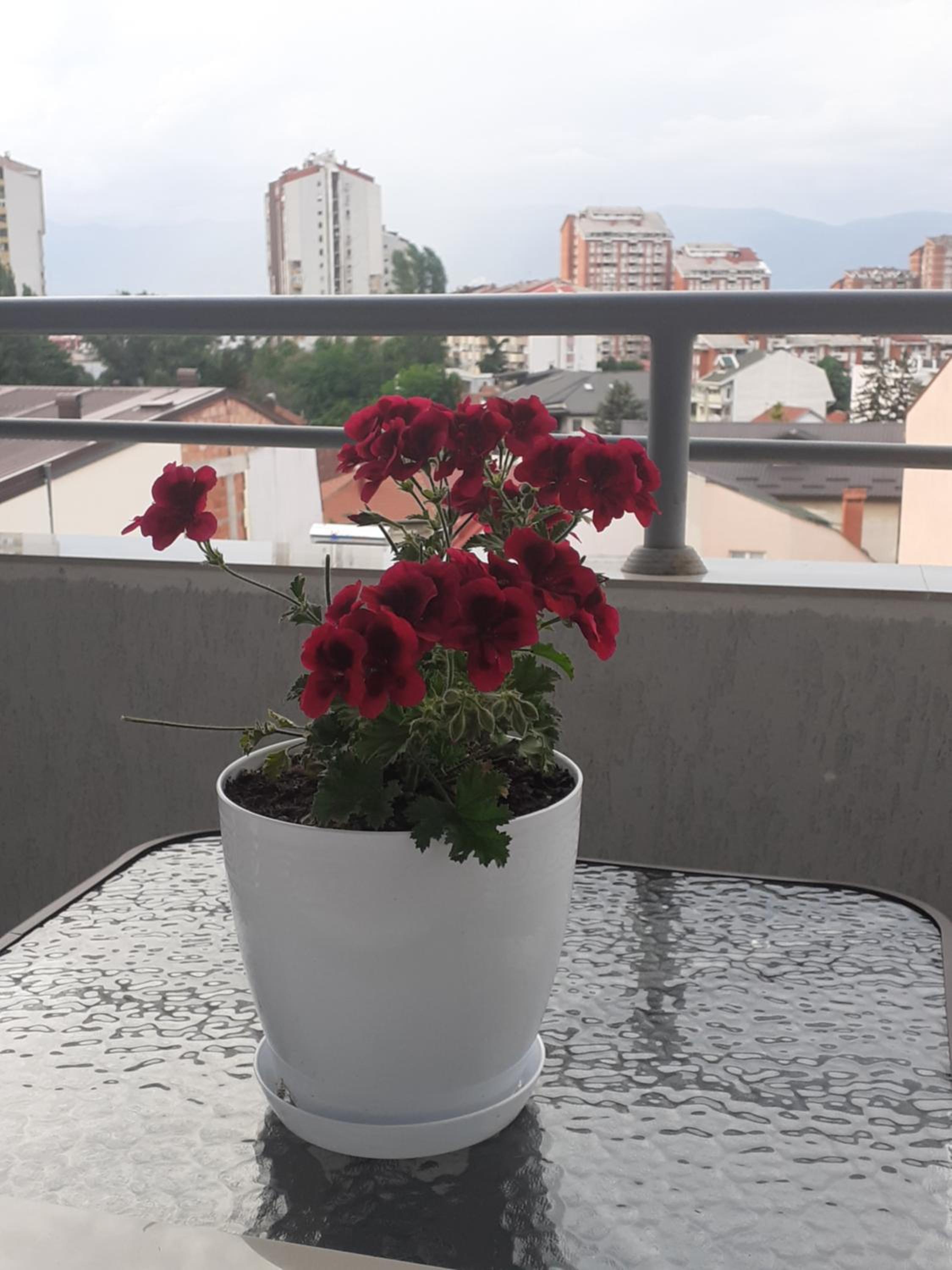 Ballet apartament