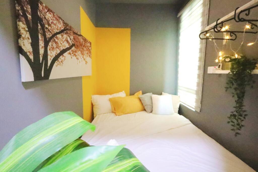 mount austin burget unit unblock view #1br #2br #3br