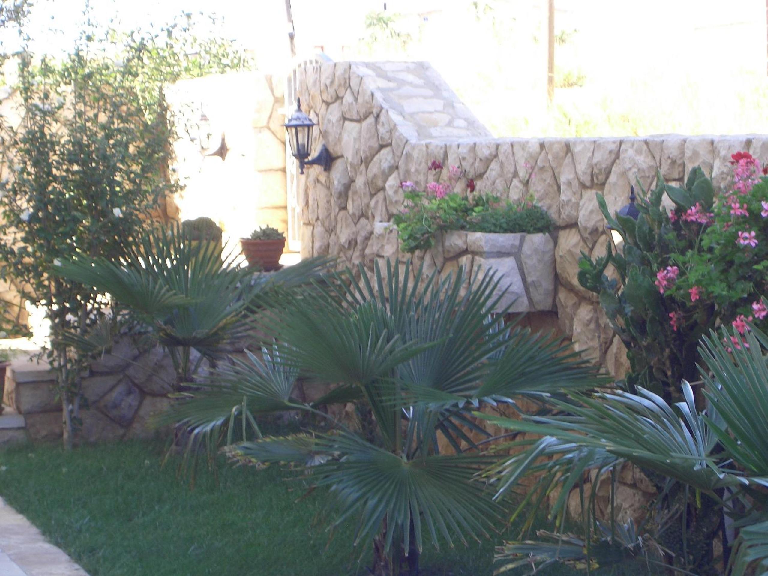 Photo 34