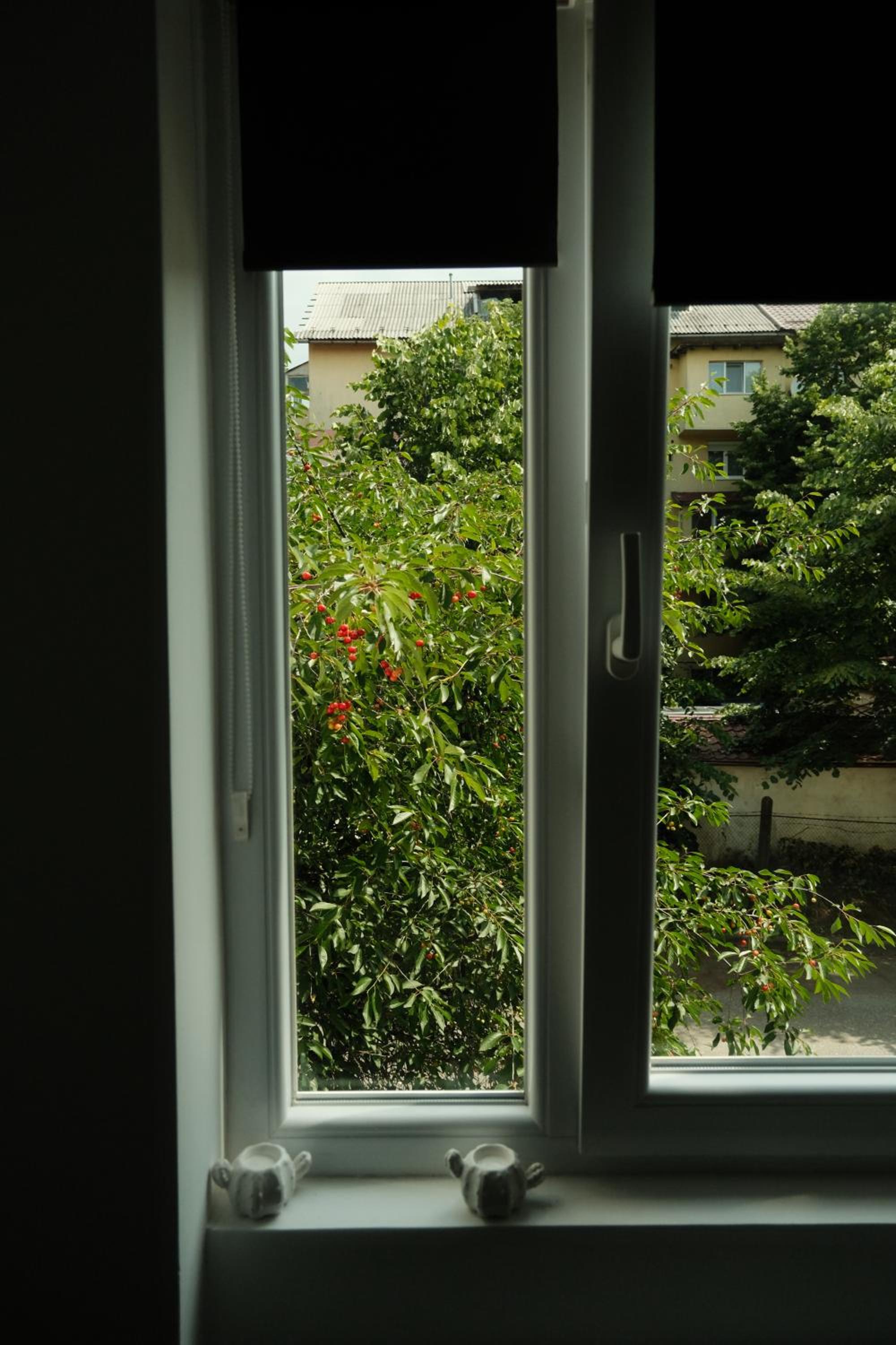 Photo 32