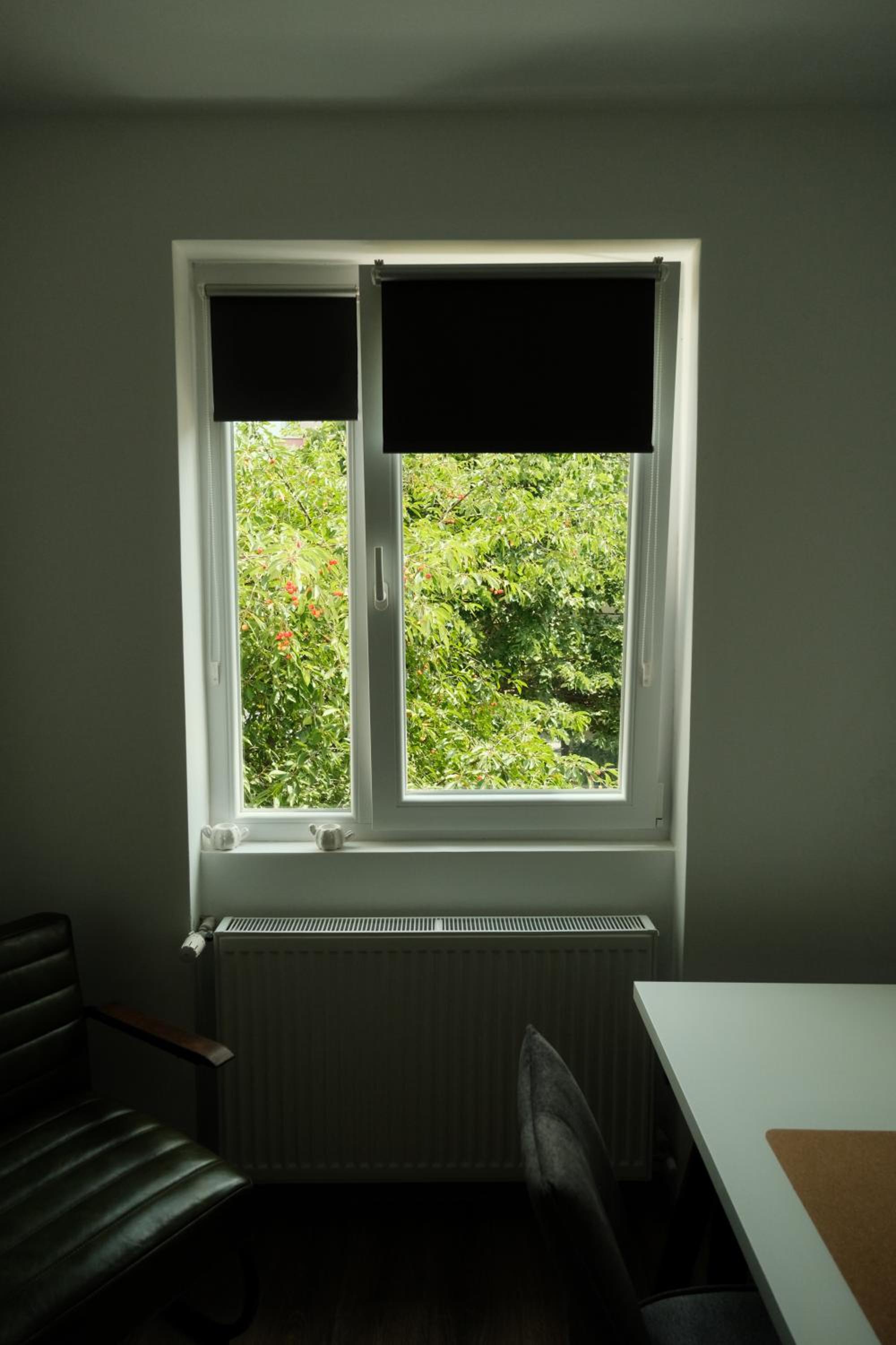 Photo 35