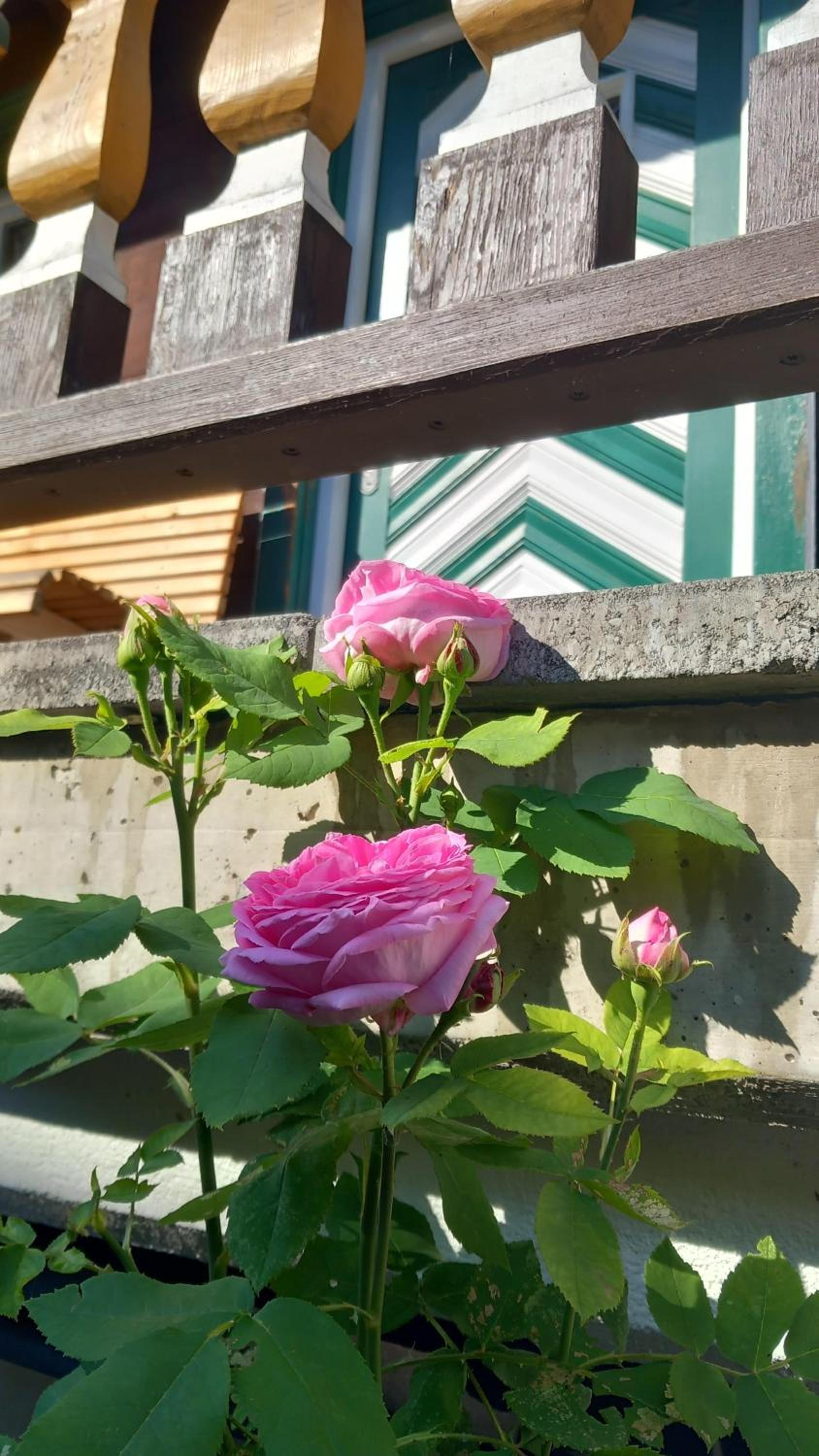 Photo 41