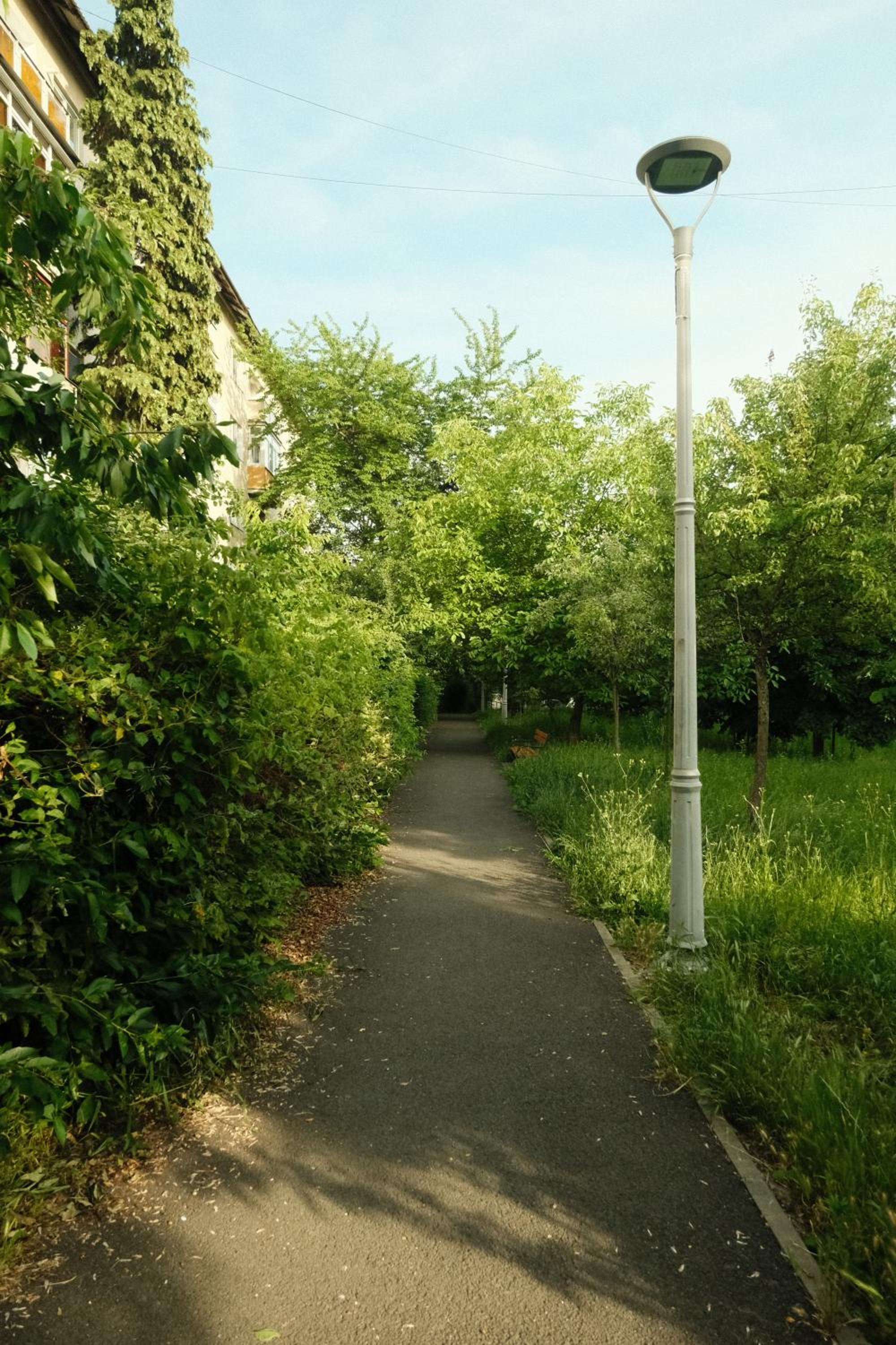 Photo 43