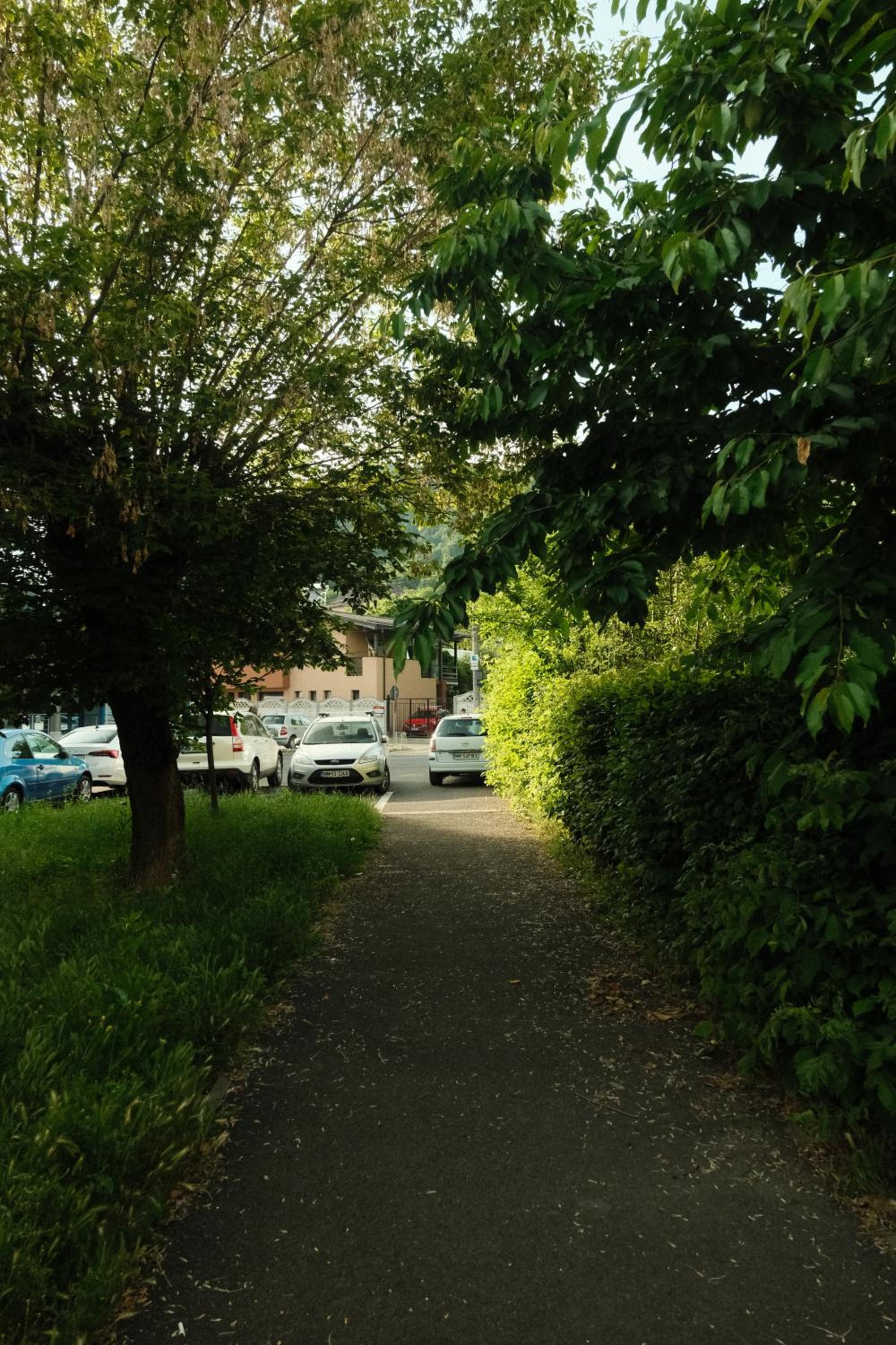 Photo 45