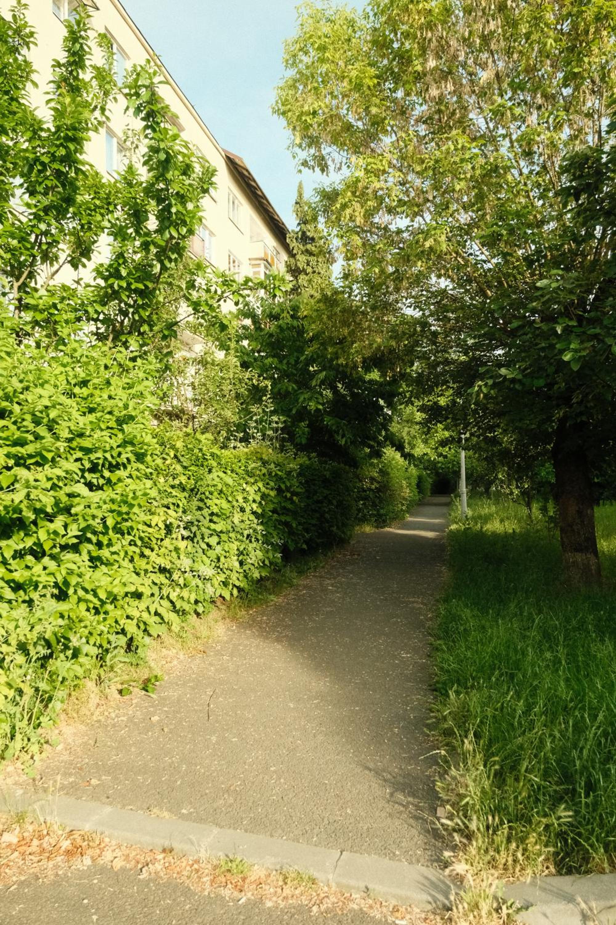 Photo 44