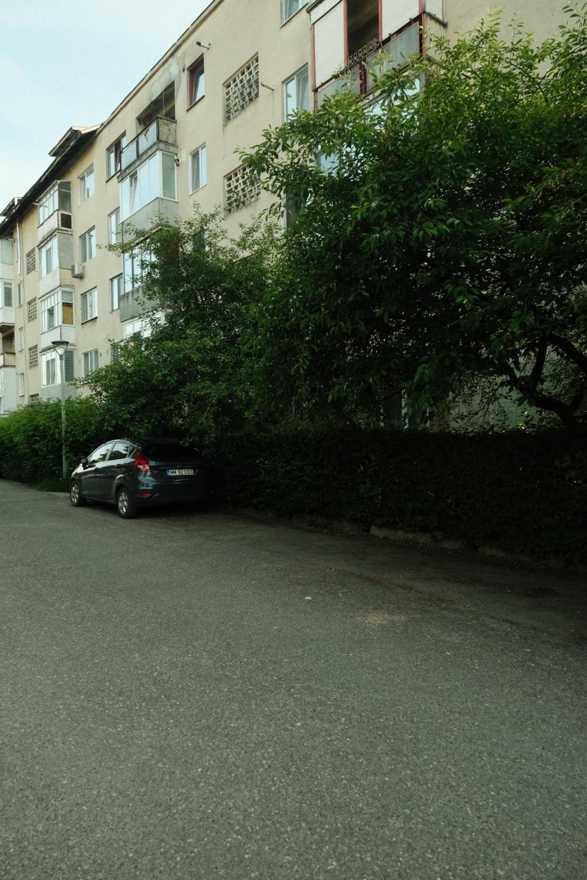 Photo 46