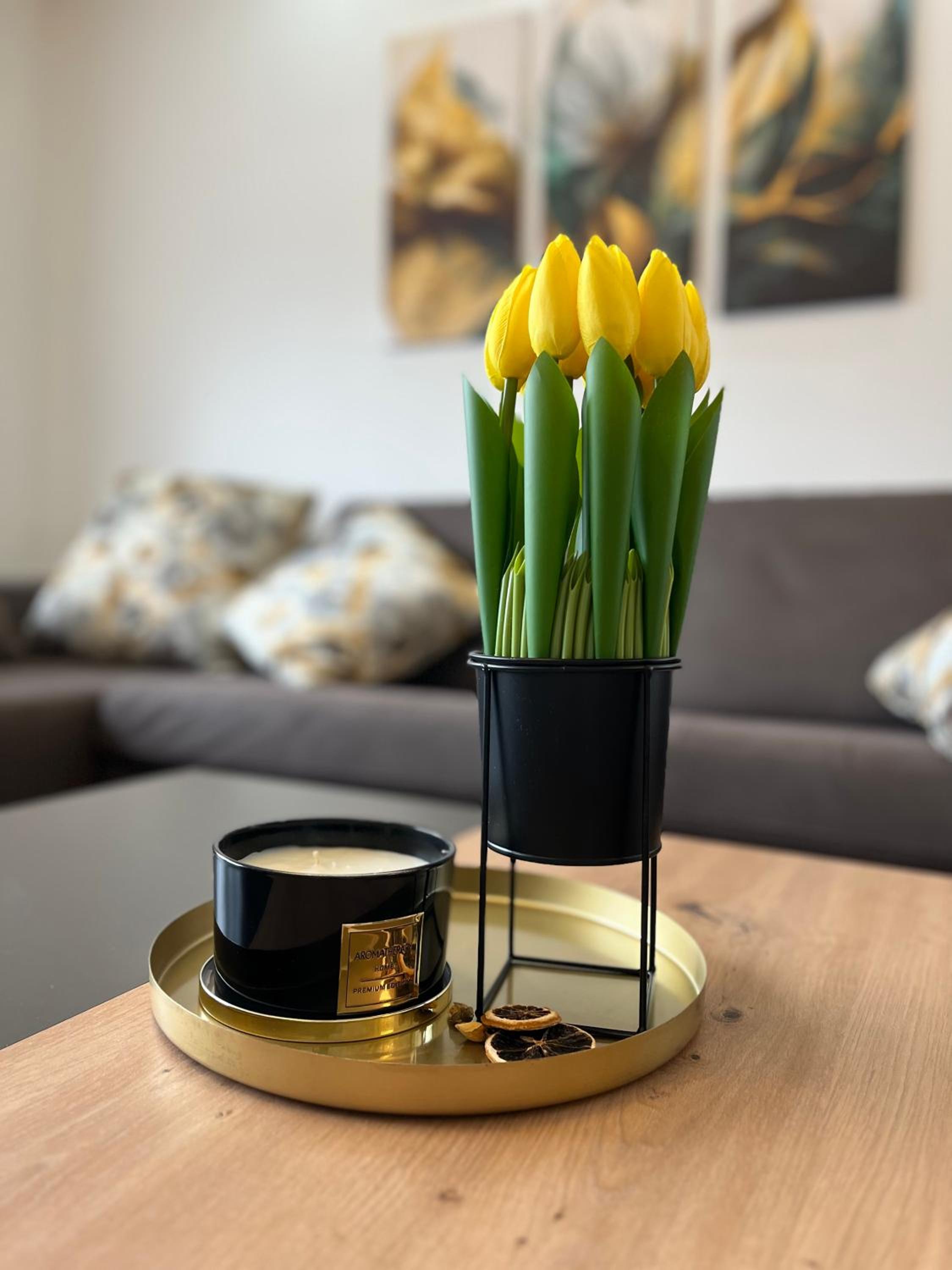 Apartment Lux Lucis