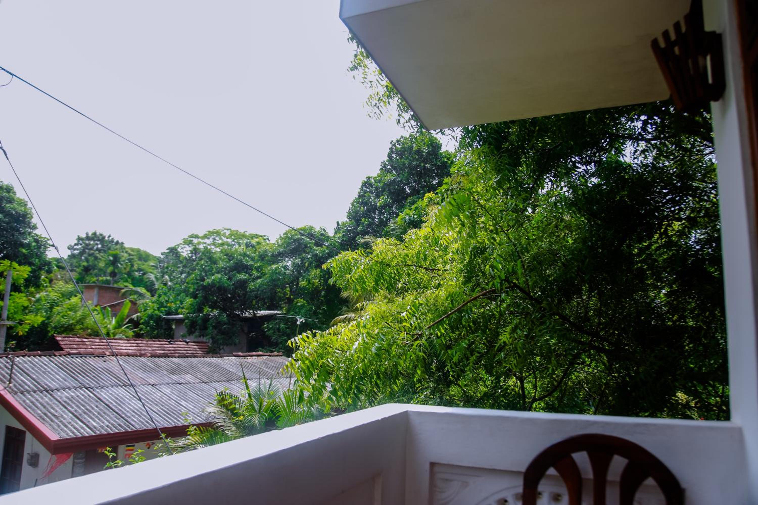 Photo 42