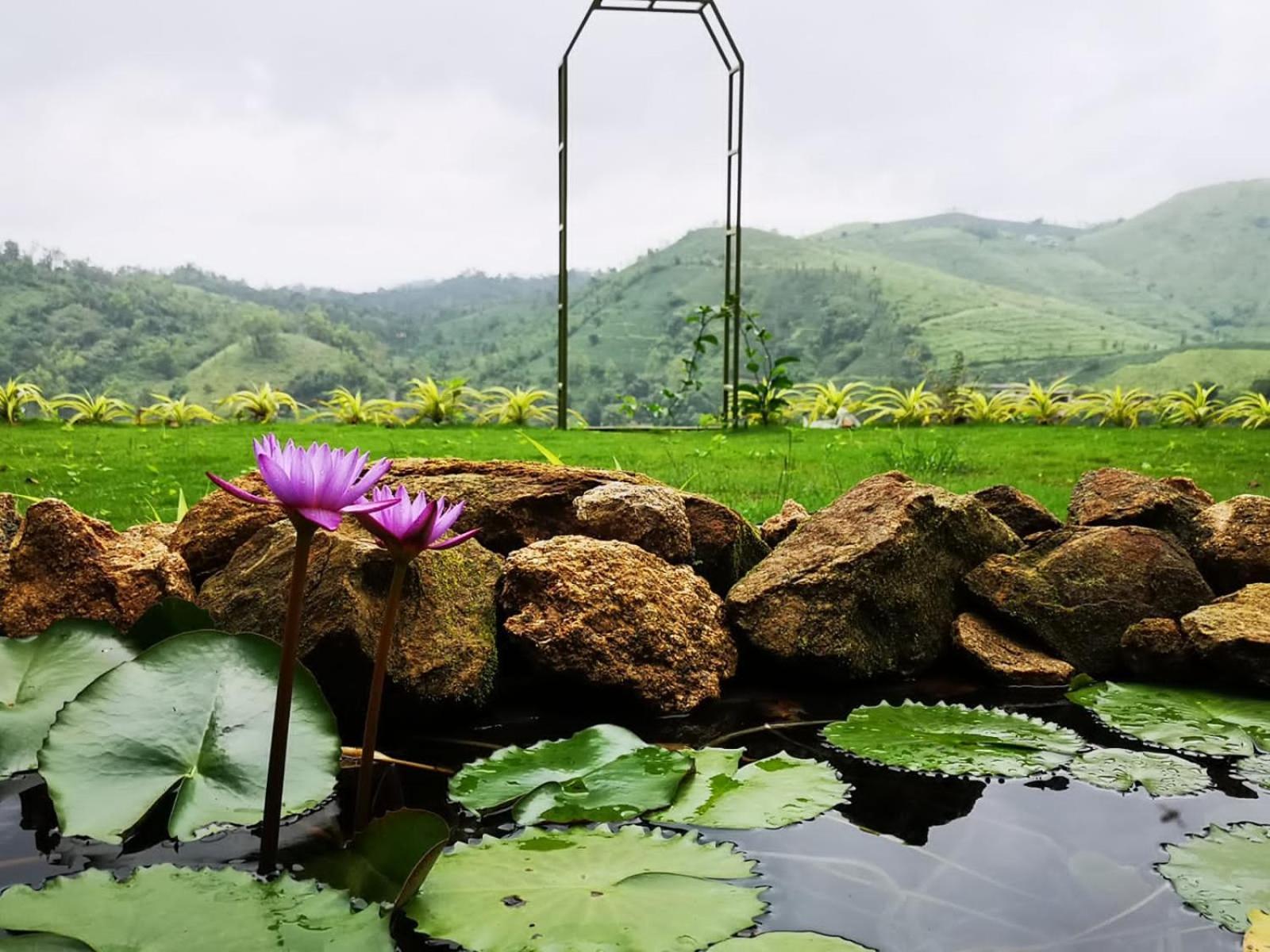 Idam Resort