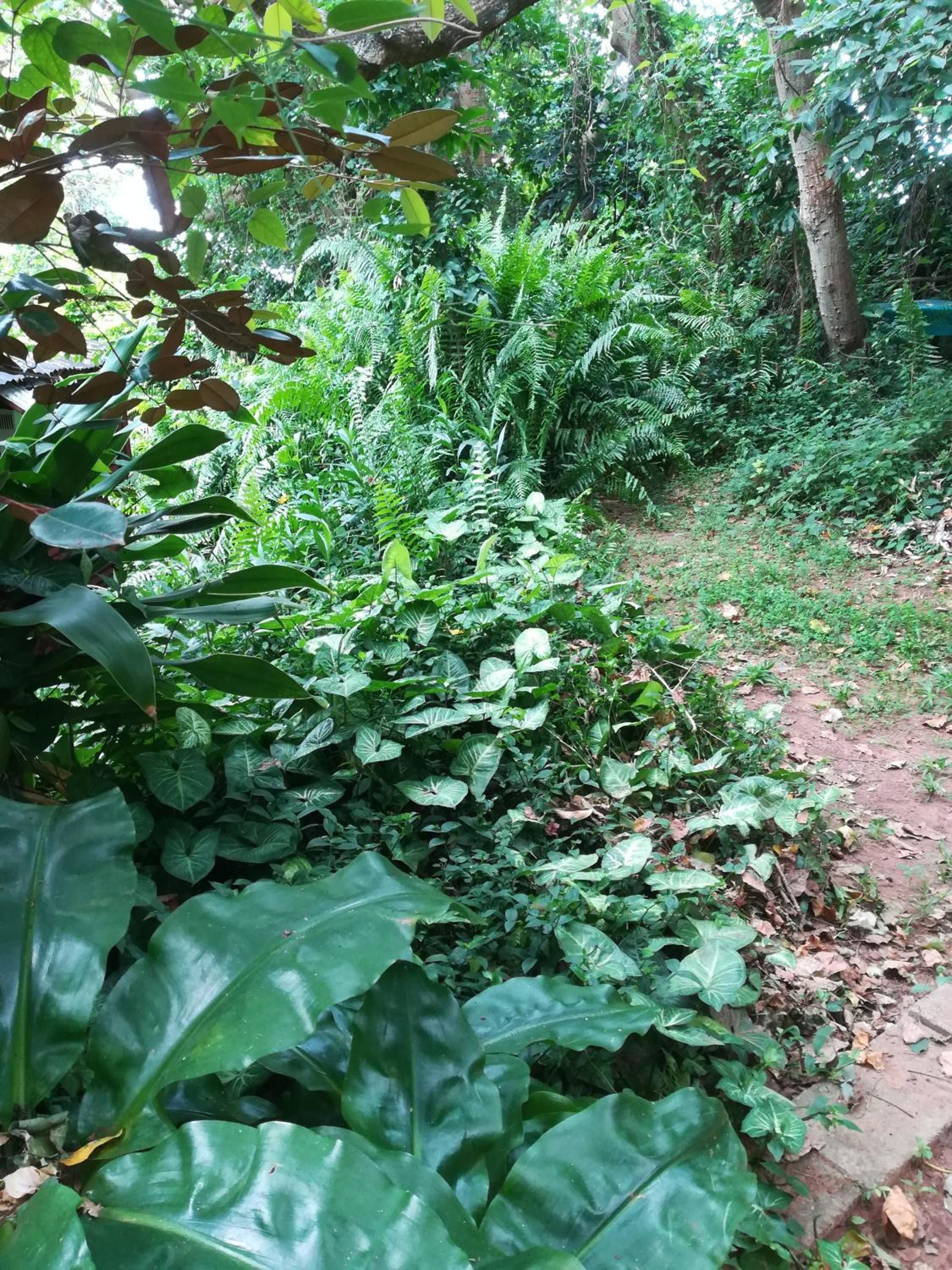 Photo 41