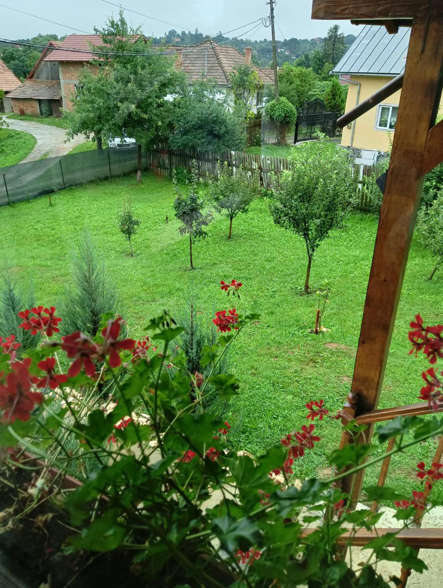 Rareș Residence