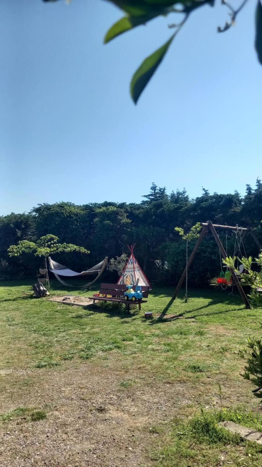 Ivonnis Garden